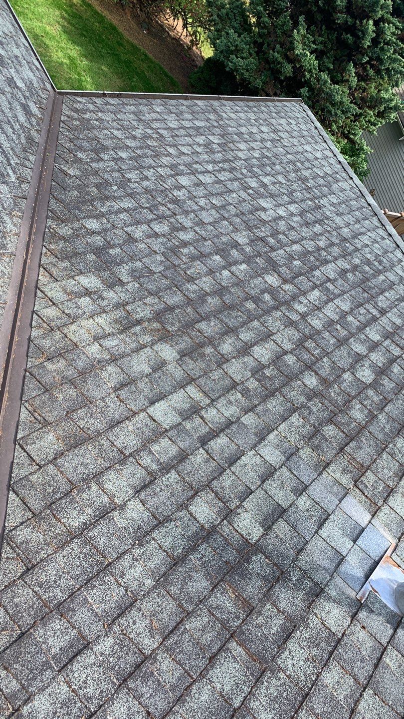 Softwashed in many Years back, and organic regrowth significant by DawnSky LLC