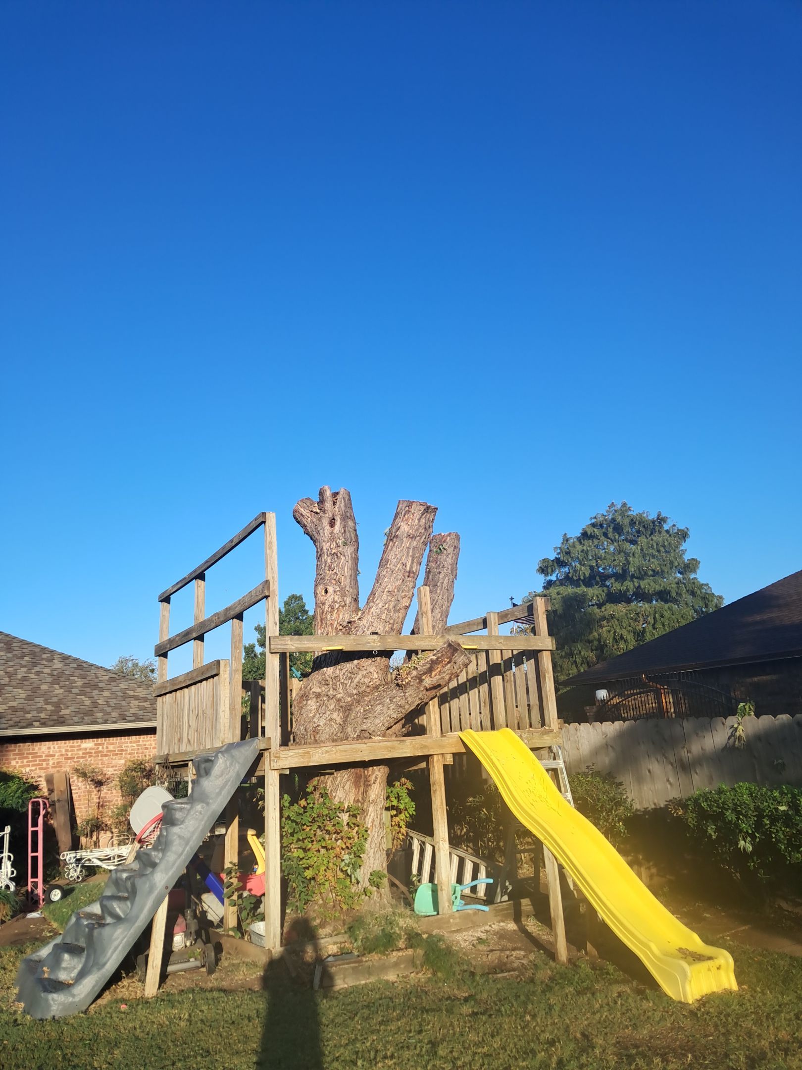 Tree Removal using Chainsaws by Clays Services Inc