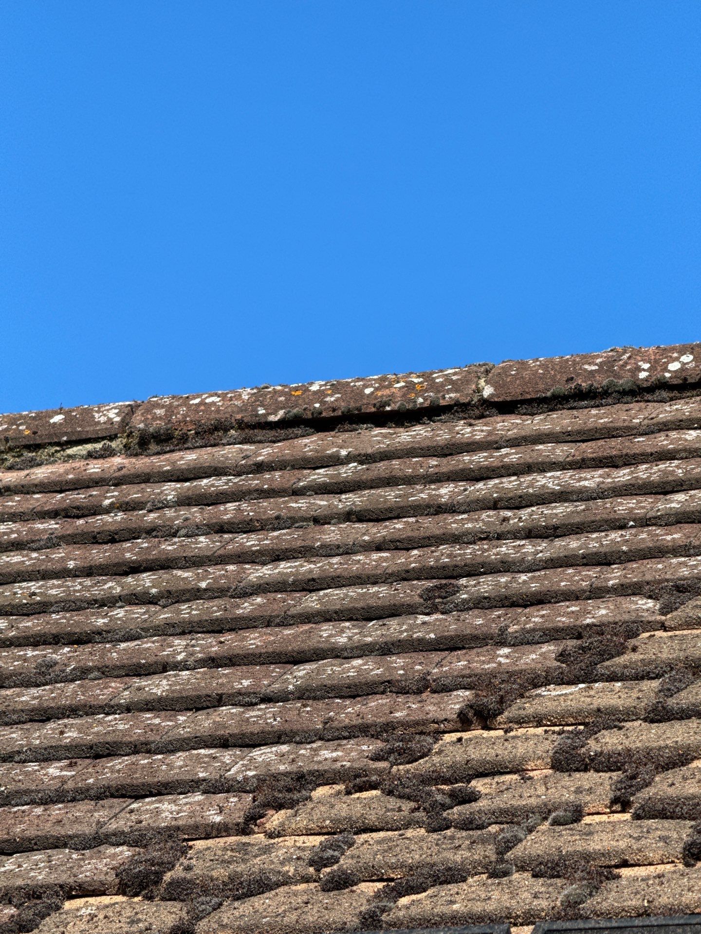 Roof Patio Driveway Clean using Mosmatic FSC and Biocide by Ges Exterior Cleaning ltd