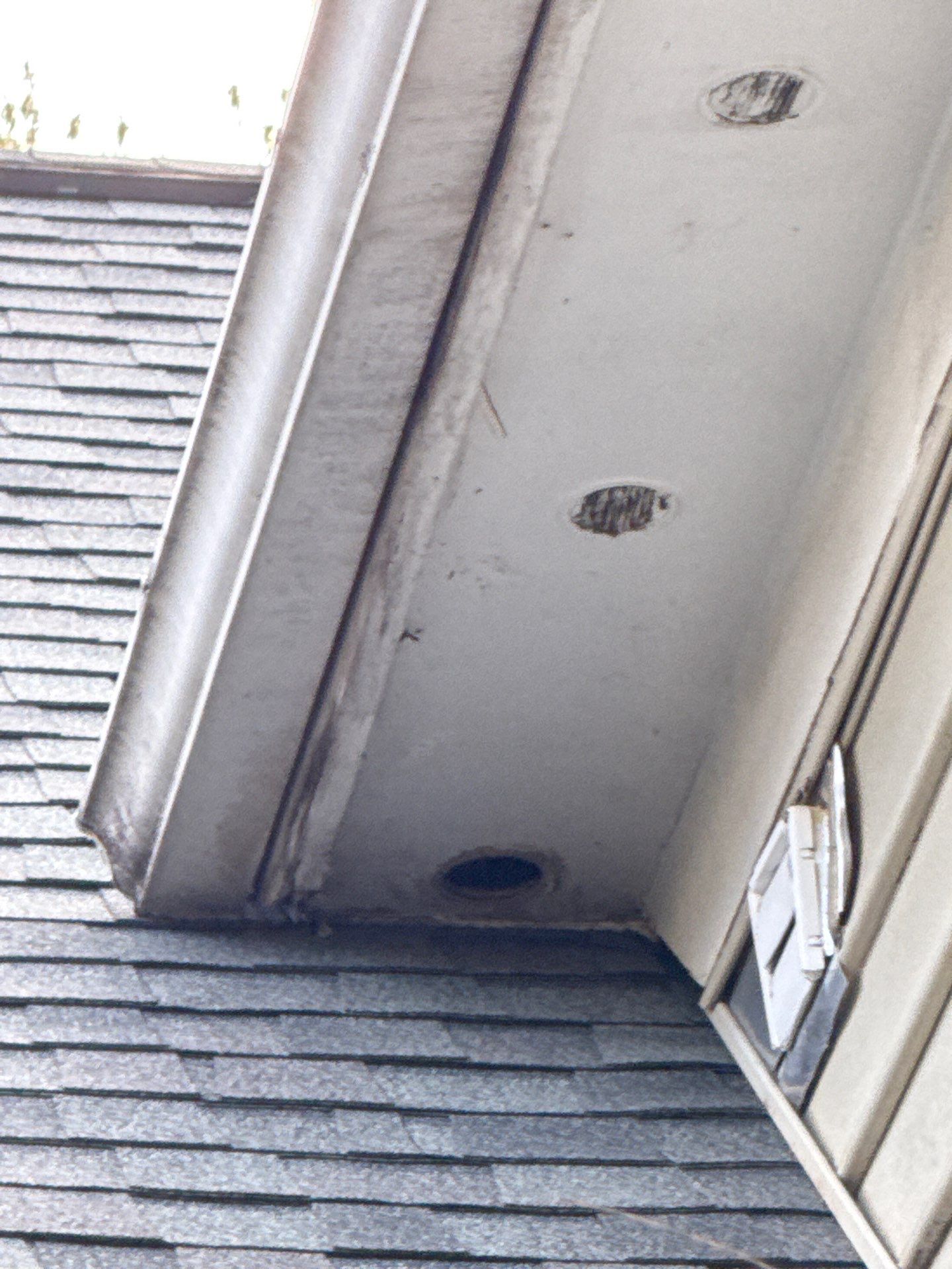 Exterior Repairs in Arlington, VA by My Painter 