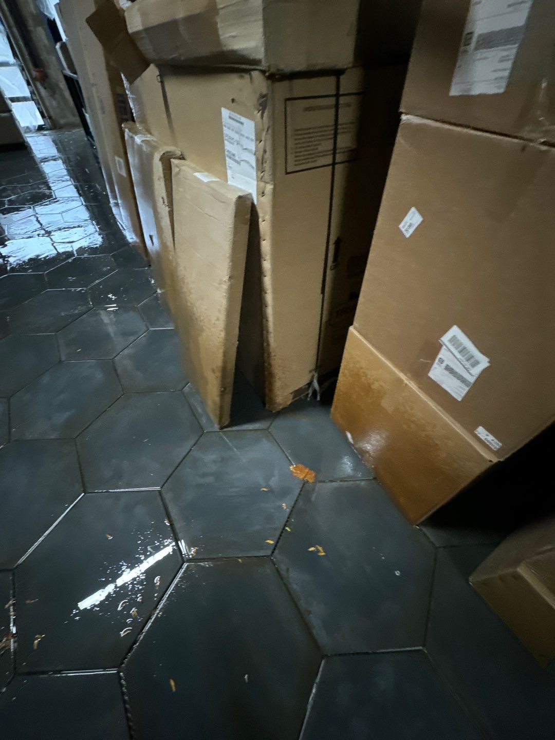 Project in Royal Oak by EzDry Water Mitigation & Property Restoration