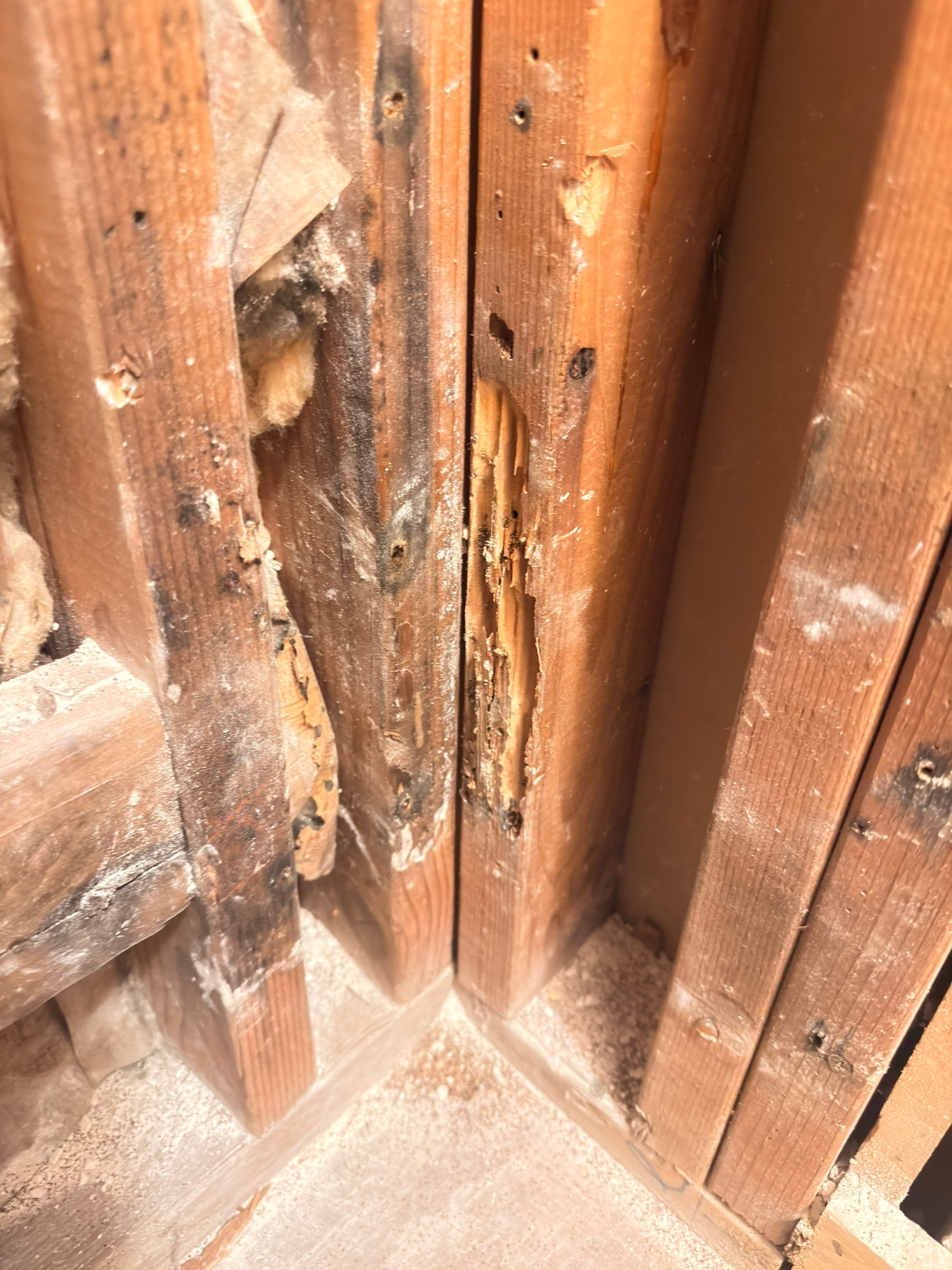 Shower Remodel due to Water Intrusion by Anza Builders, Inc. 