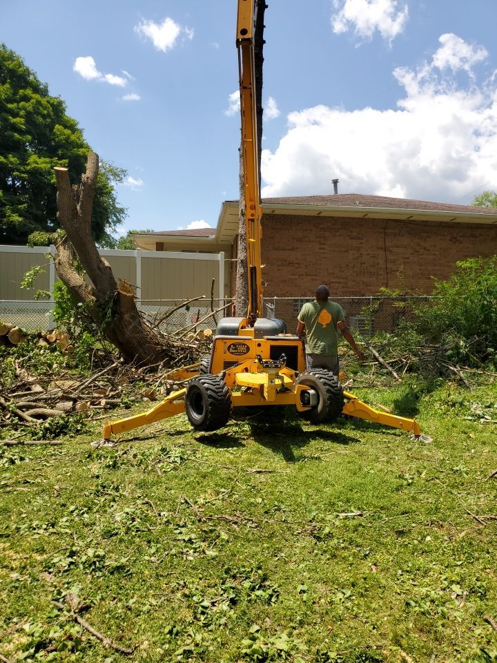Tree Removal using Tree Removal by Mike Jones & Sons Tree Service LLC 