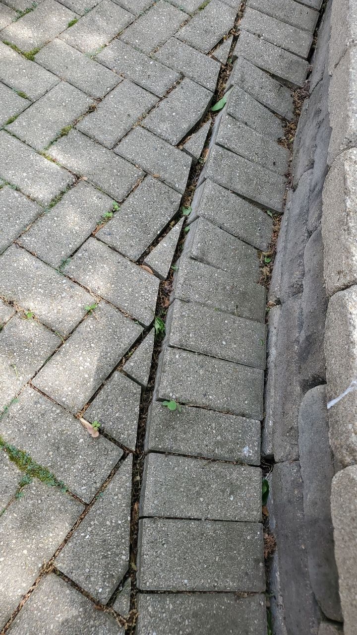 Brick patio repair, clean sand and seal by Northern Power Washing LLC.