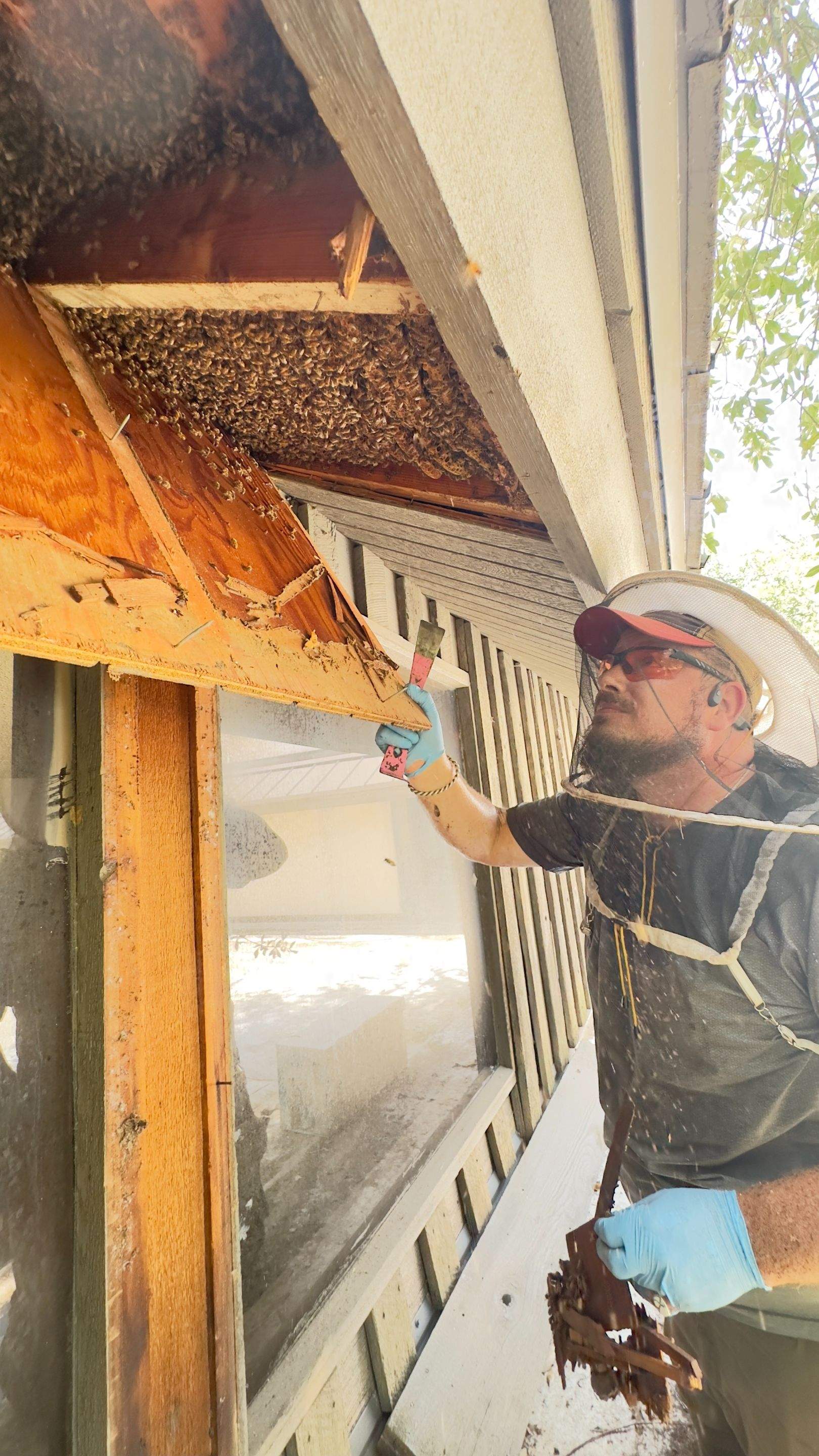 Old Faithful by Rockwall Honey Bee Company