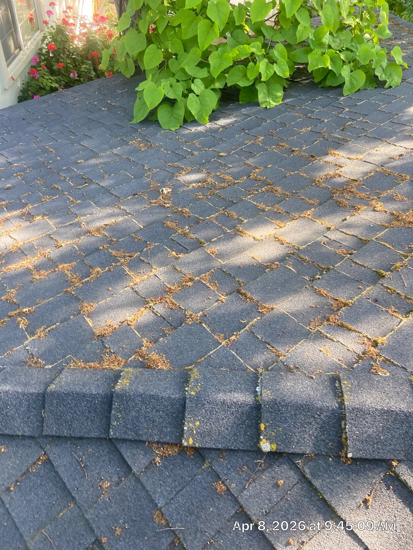 Roof Rejuvenation using Roof Maxx Treatment by Roof Maxx of Folsom