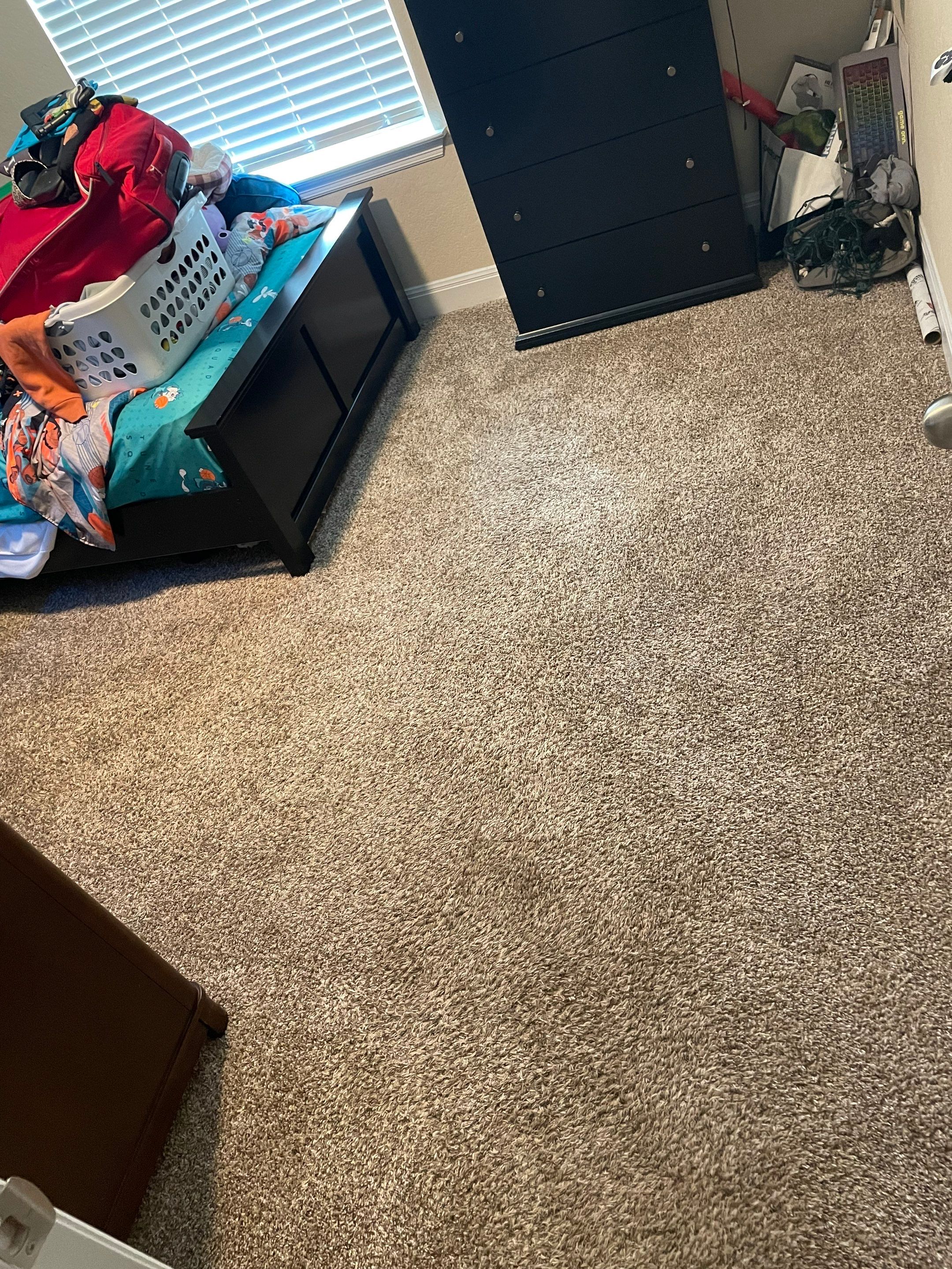 carpet cleaning service deep cleaning residential wall to wall carpeting removing dirt and stains