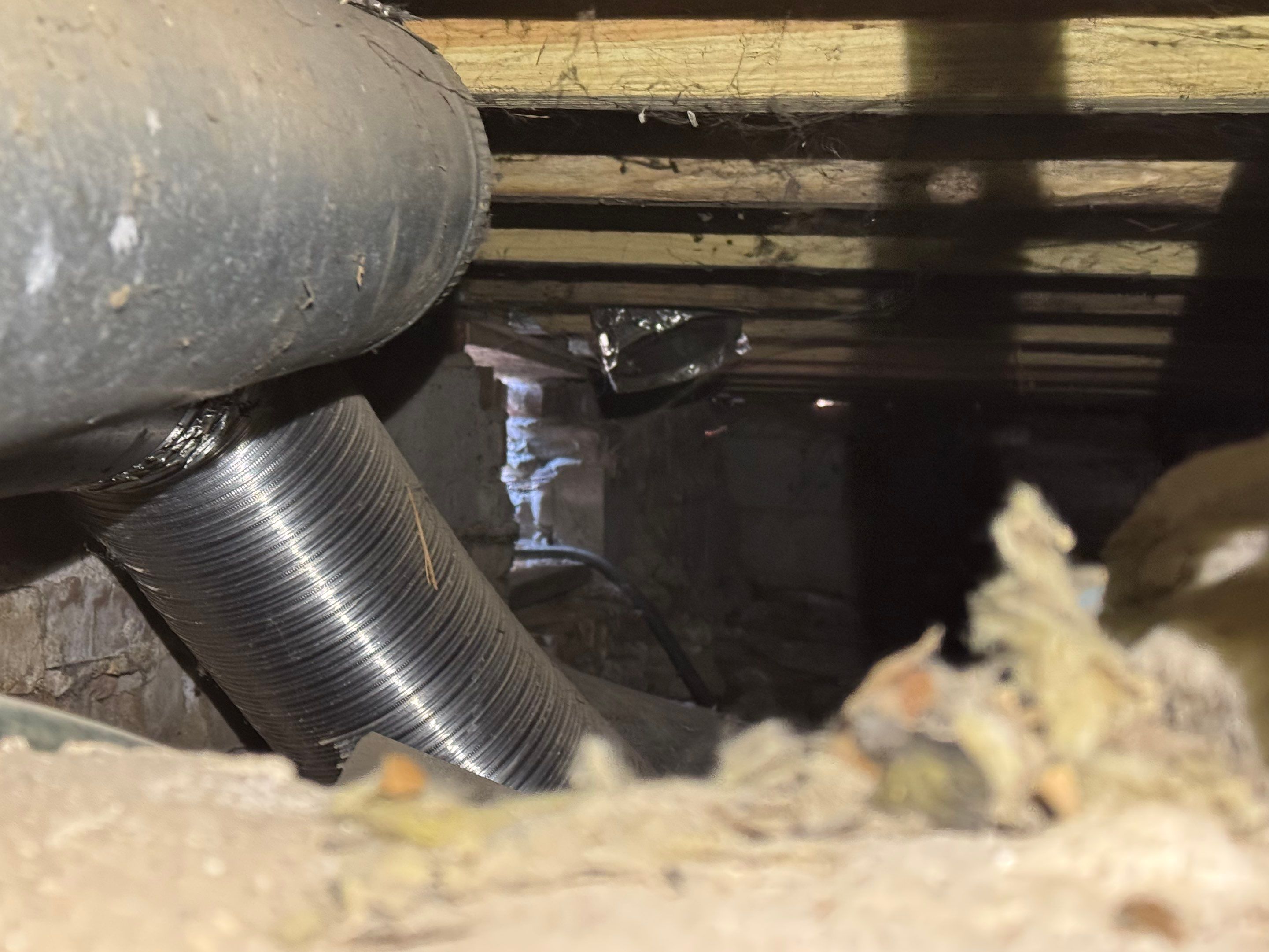 Mold Remediation (Basement) using Home Guarantee by Home Guarantee, LLC