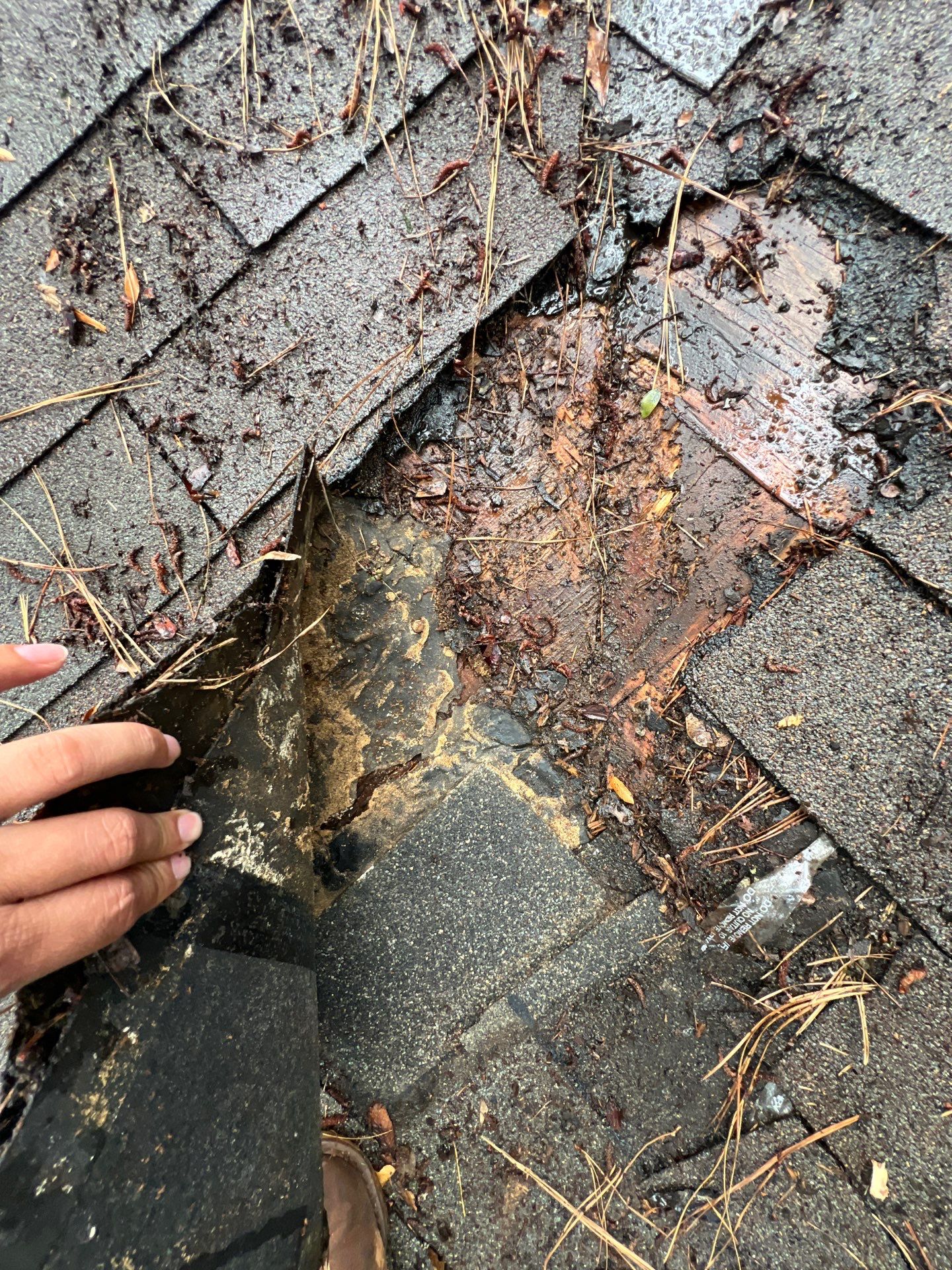 Roof Repair Spring by Roof Repair Company