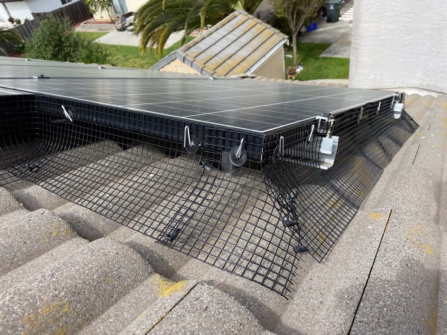 Solar Panel Bird Proofing-Morgan Hill by All One Solar Shine