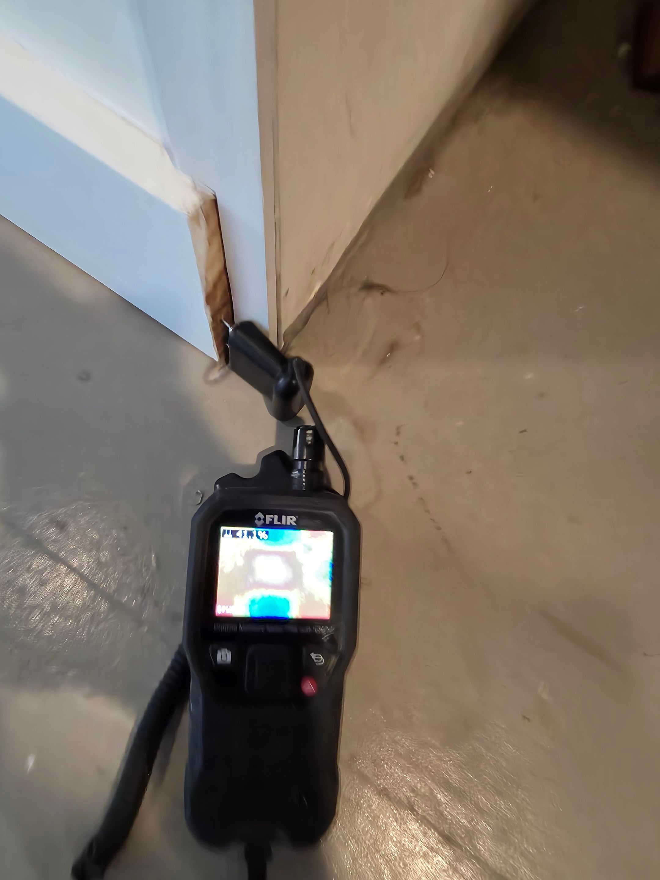 Anna and Allan Branch  by Service Restoration