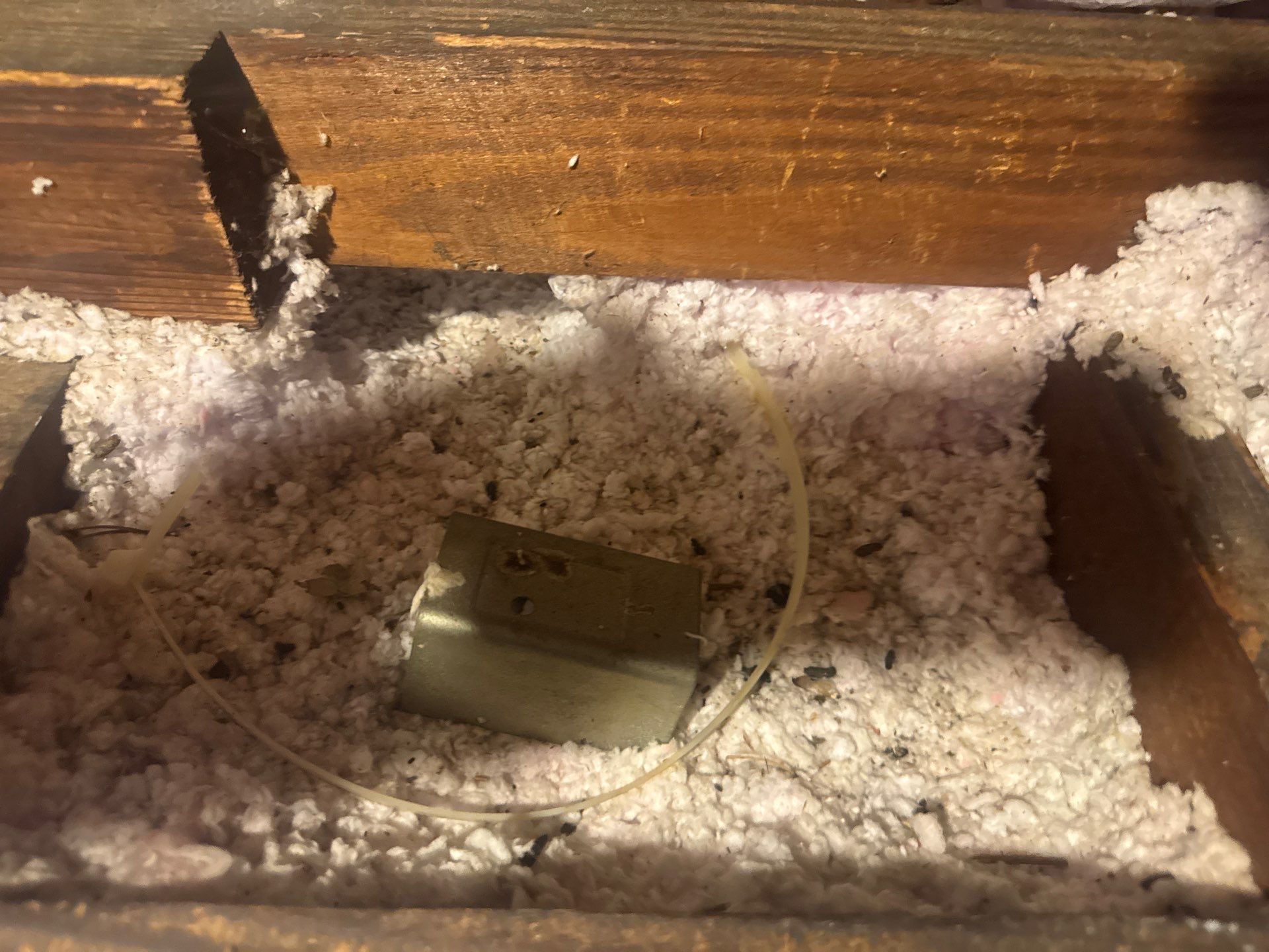 Project in Norfolk by Patriot Crawl Space Repairs