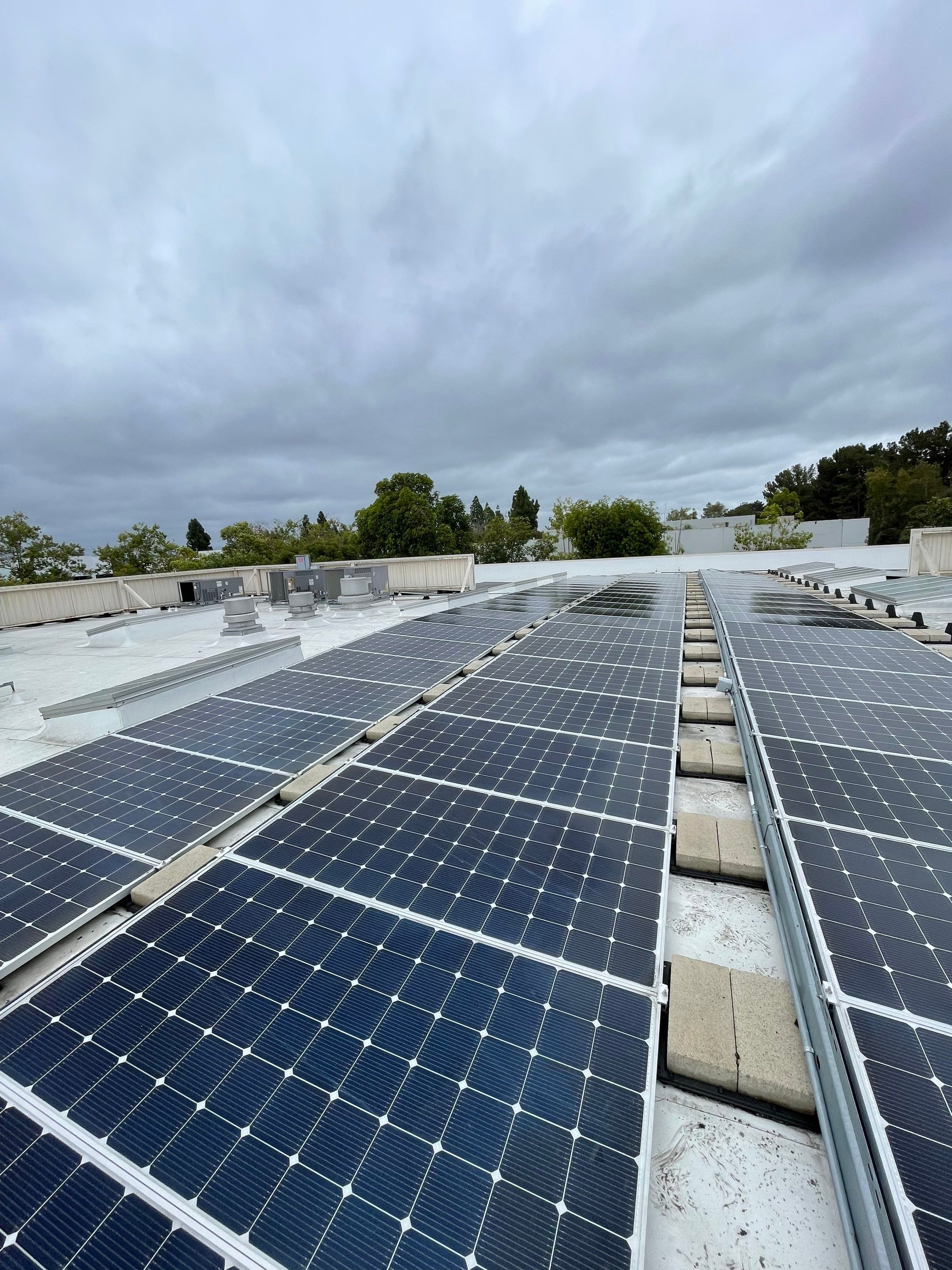 Commercial Solar Cleaning by Palm Coast Solar Cleaning