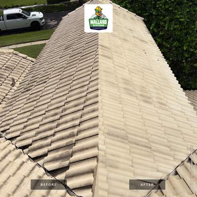 Tile Roof and Screened Enclosure Cleaning in Orlando