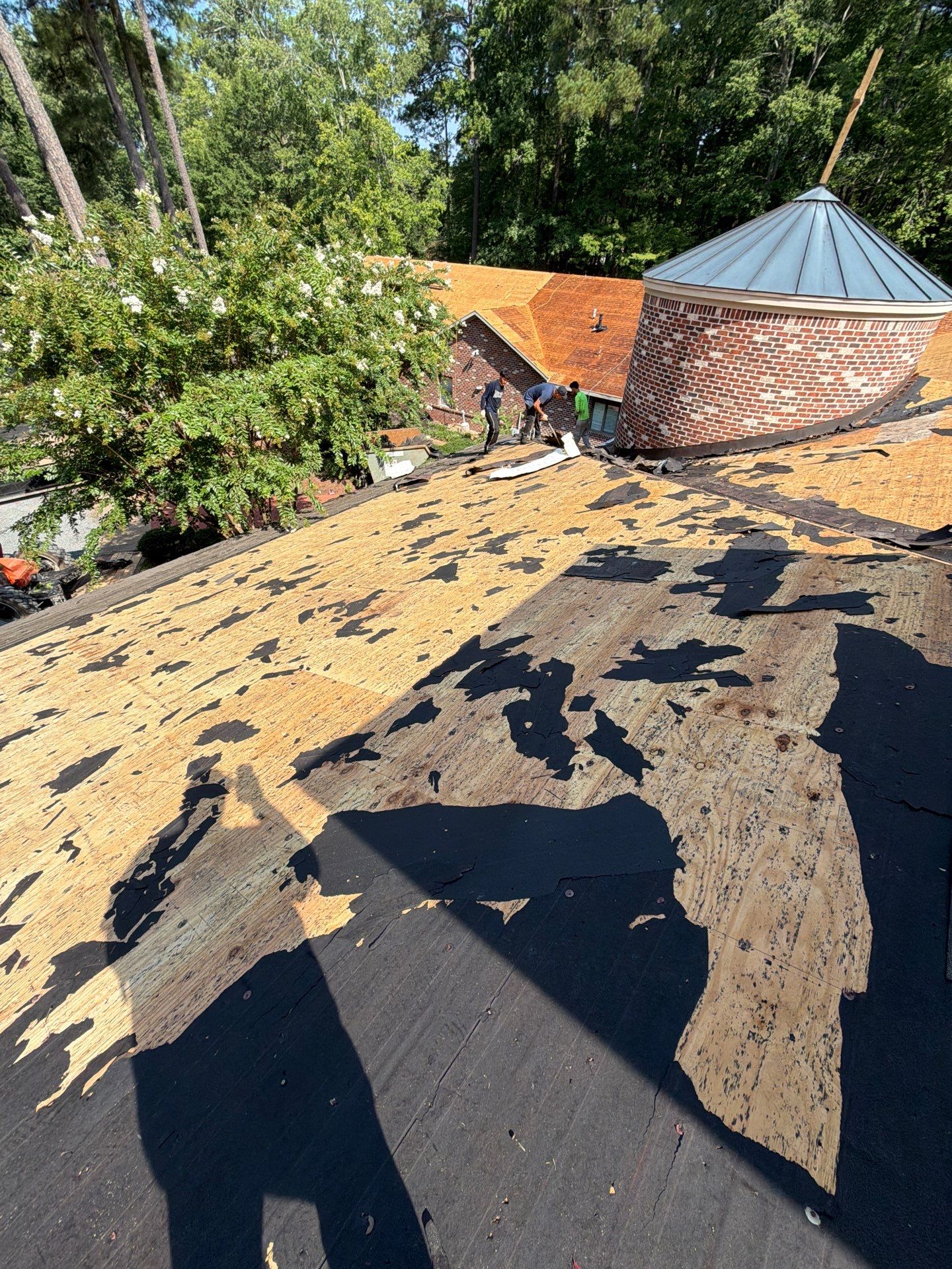 Comprehensive Asphalt Shingle Roof Replacement in Mathews, Virginia by Cade Construction