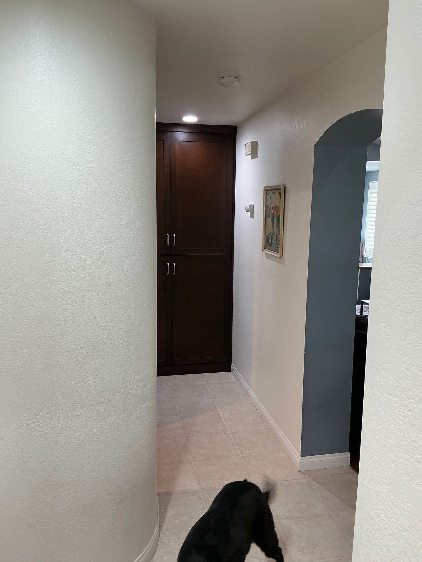 Freds Place  by Asis Painting Inc 