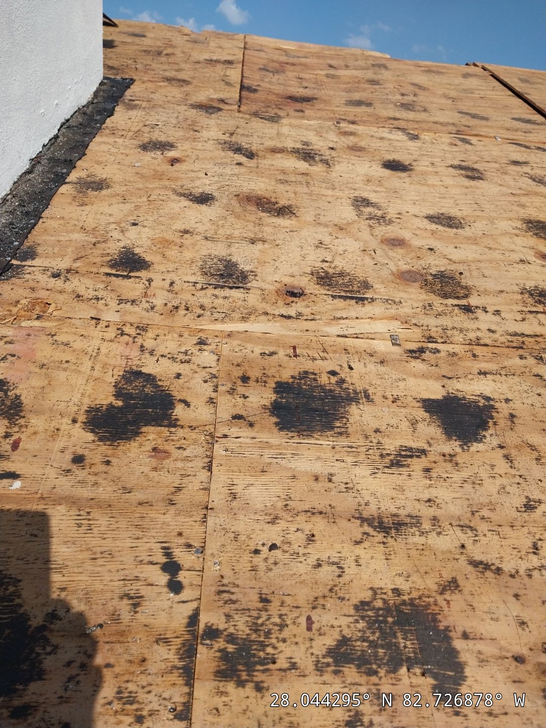 Project in Clearwater 33761 by Mitchell Roofing Company LLC