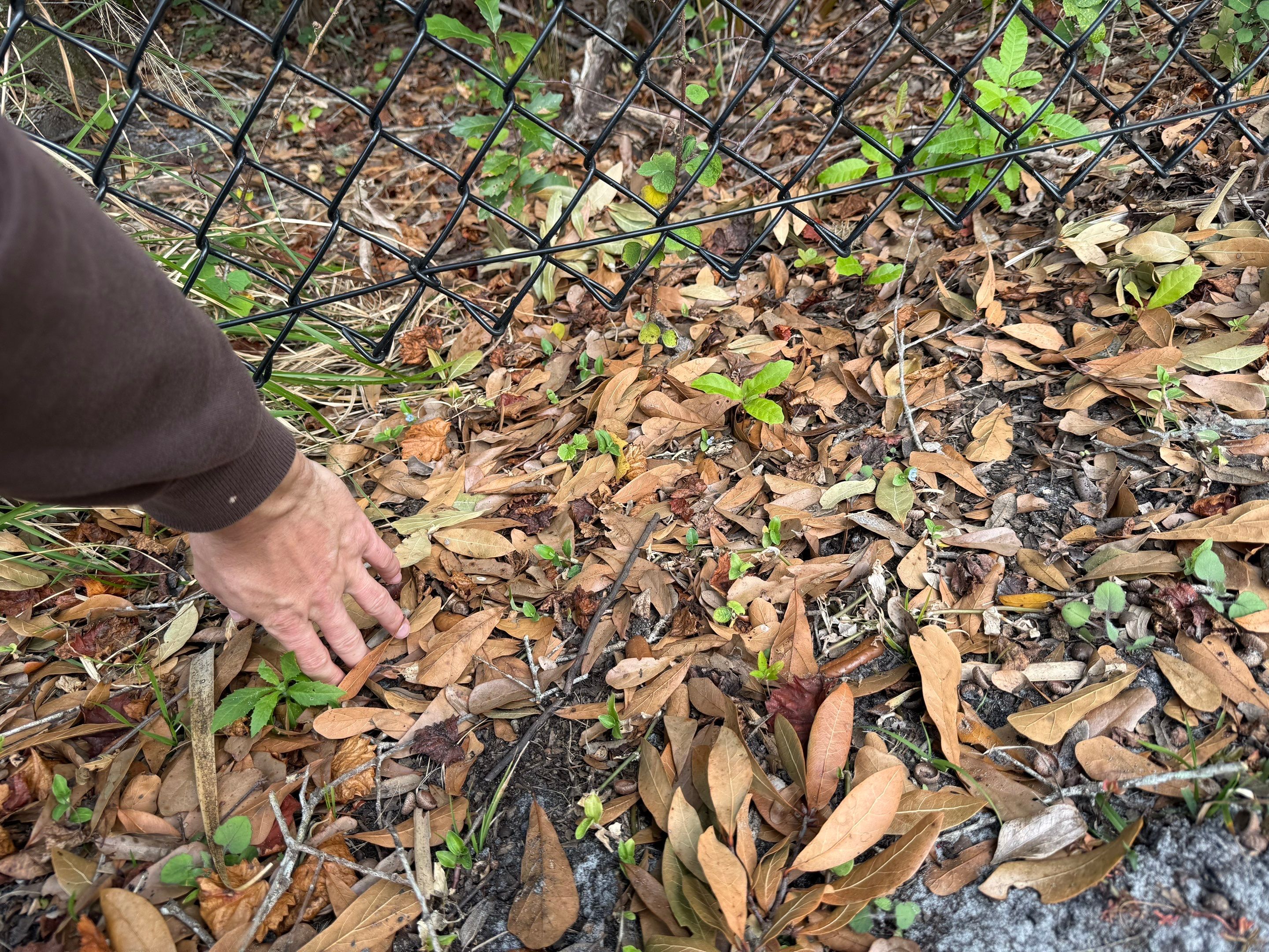 Chain-Link Fence Repair by
M.A.B. Landscaping & Property Maintenance