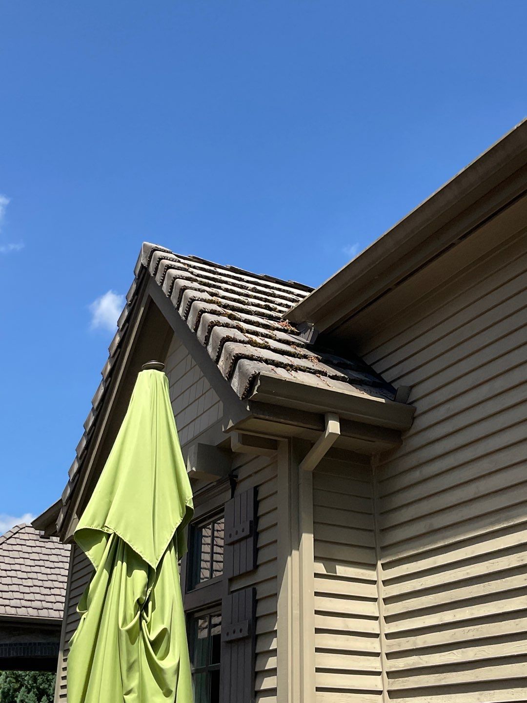 Moss Removal/ Treatment using Biocide by Willamette Outdoor Wash LLC