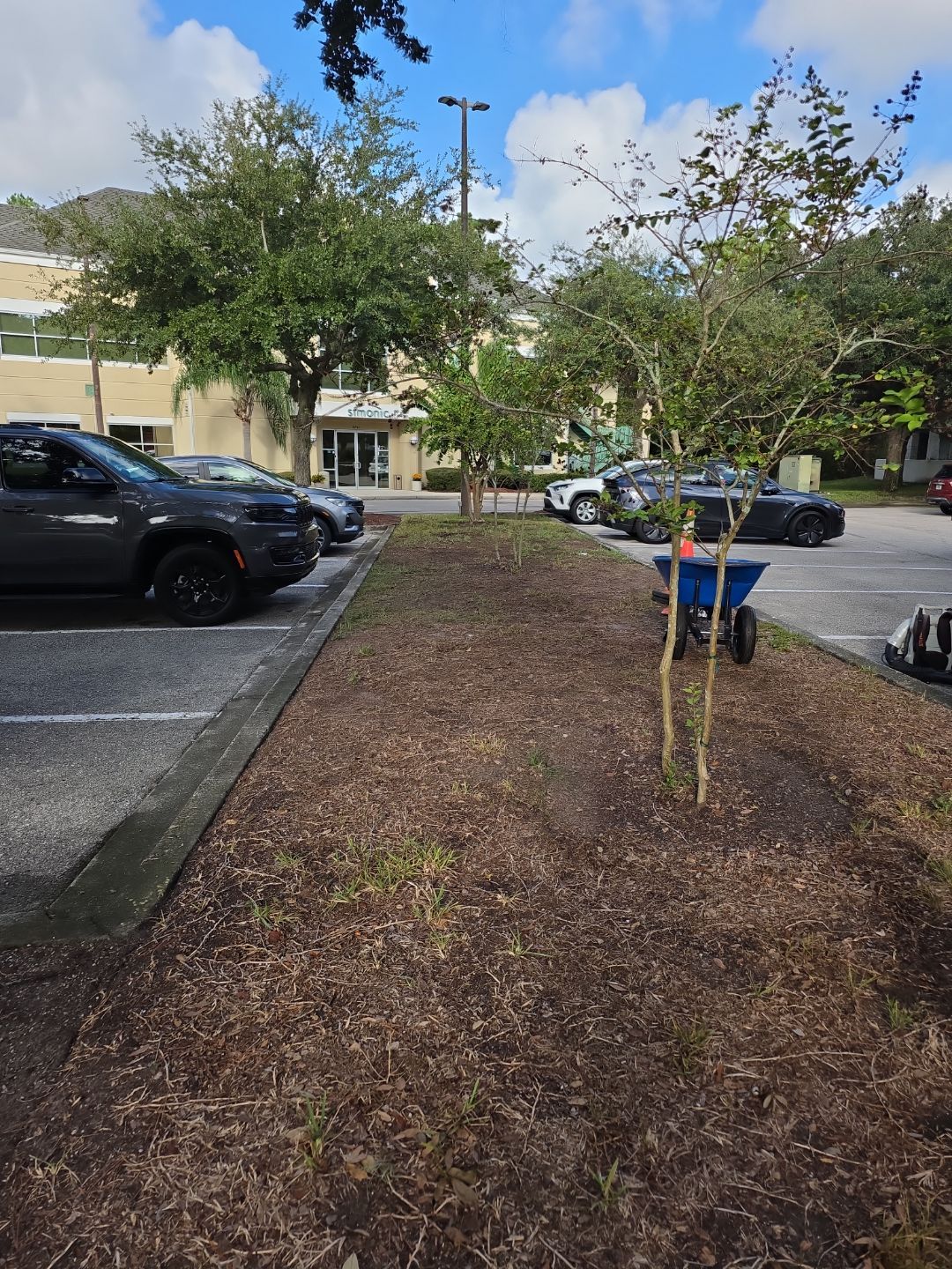 Simonic II | Business Complex Landscape by ProGreen Services