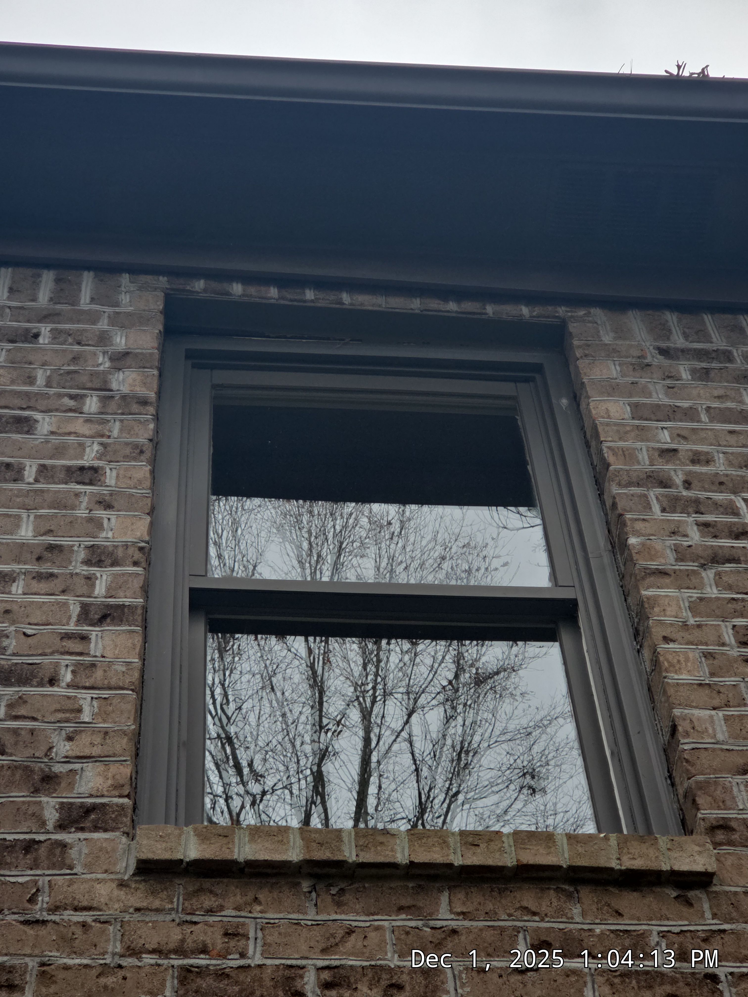 Lewis Project in Hoover by The Window Source