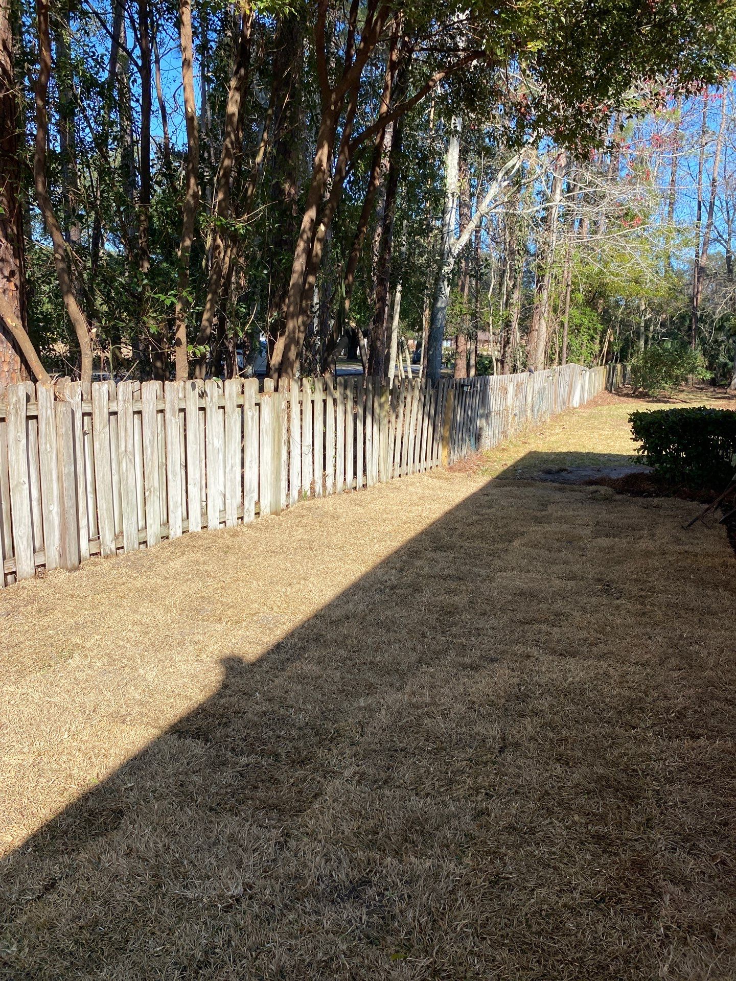 Deerwood Resident | Tree Removal & Clean-Up by ProGreen Services