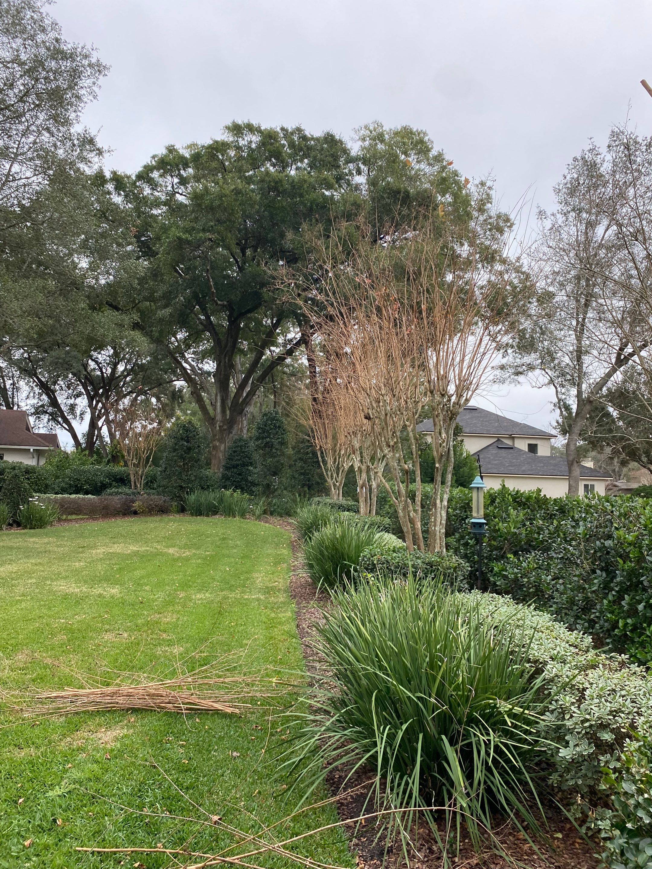 Deerwood Residence | Tree Trimming by ProGreen Services