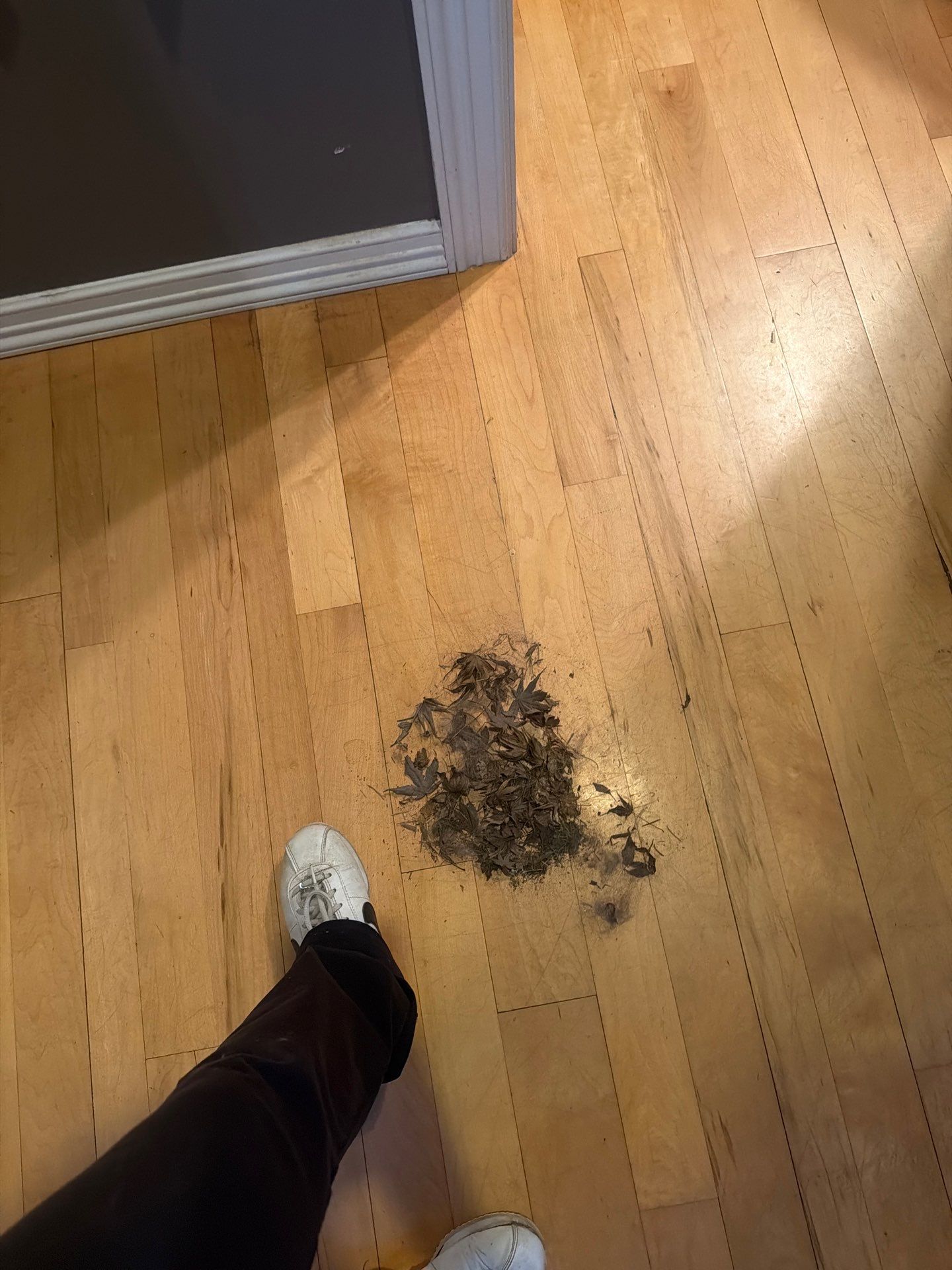 Maid service cleaning Project in Tigard by Cloud 9 Professional Cleaning Services