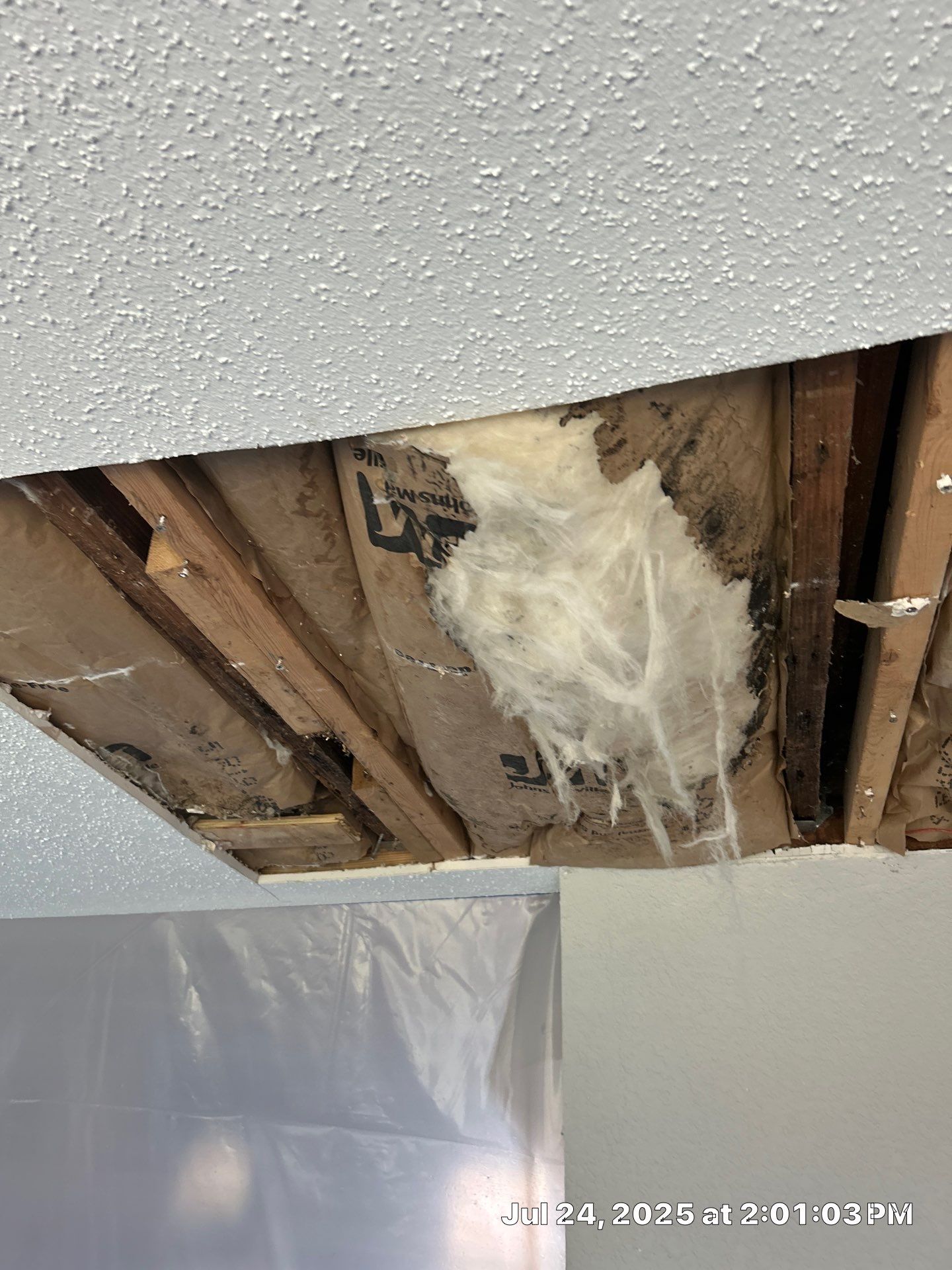 Mold Inspection & Mold Removal In St. Petersburg, FL by Ampm Restoration Services
