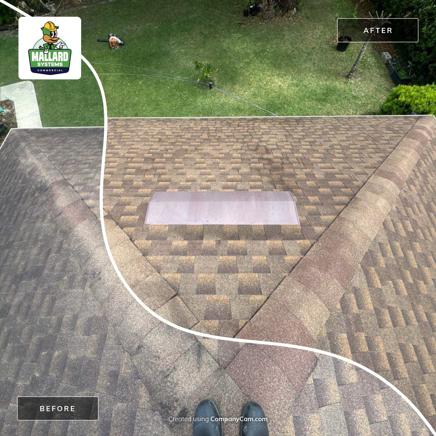 Shingle Roof Cleaning by Mallard Systems