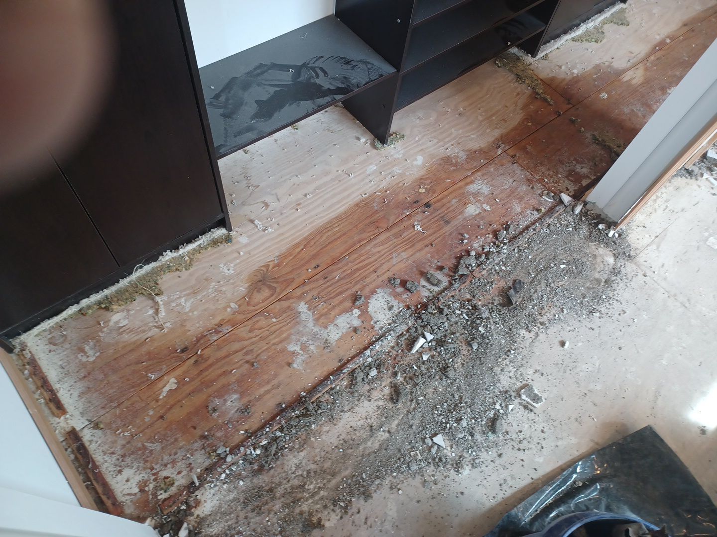 Project in Wixom by EzDry Water Mitigation & Property Restoration