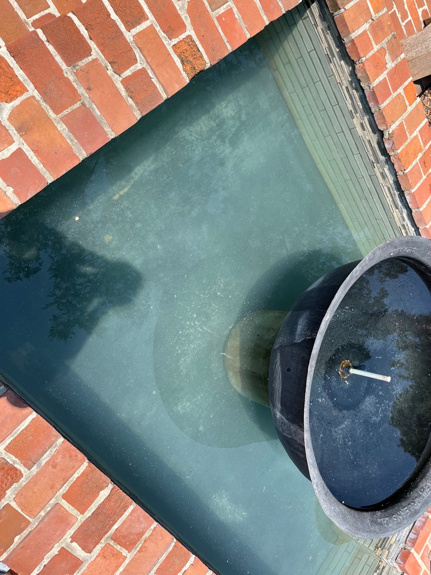 Pool Cleaning using Pool Cleaner by College Bros Outdoor services