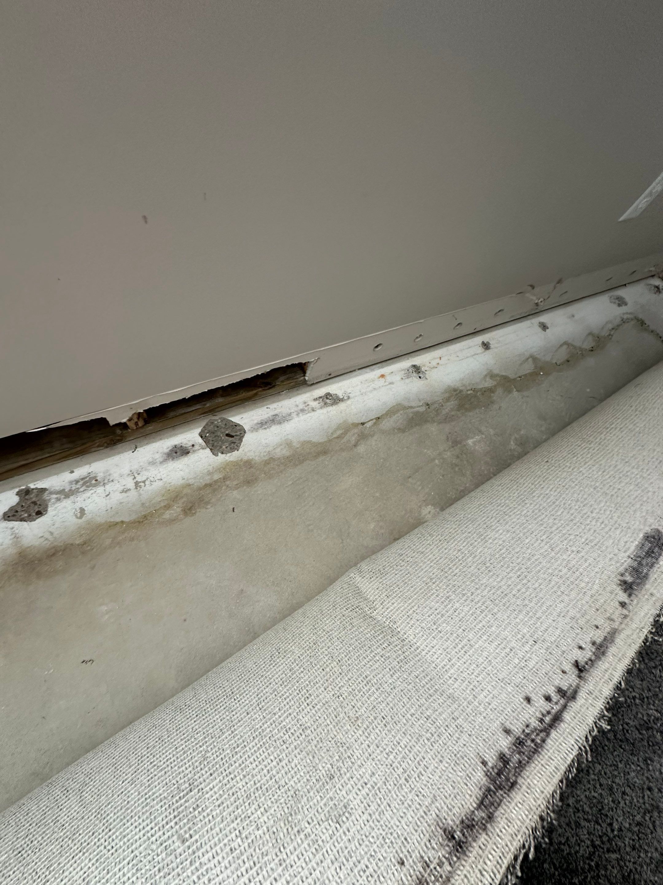 Foundation leak long term damage in new build home by BlueRed Restoration