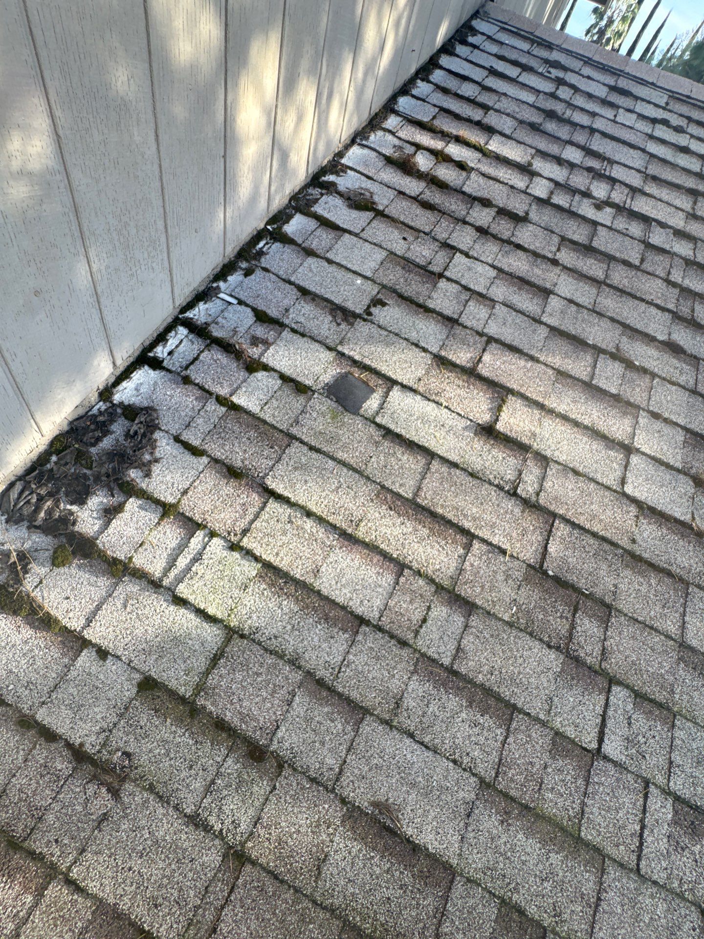 Roof Rejuvenation using Roof Maxx Treatment by Roof Maxx of Folsom