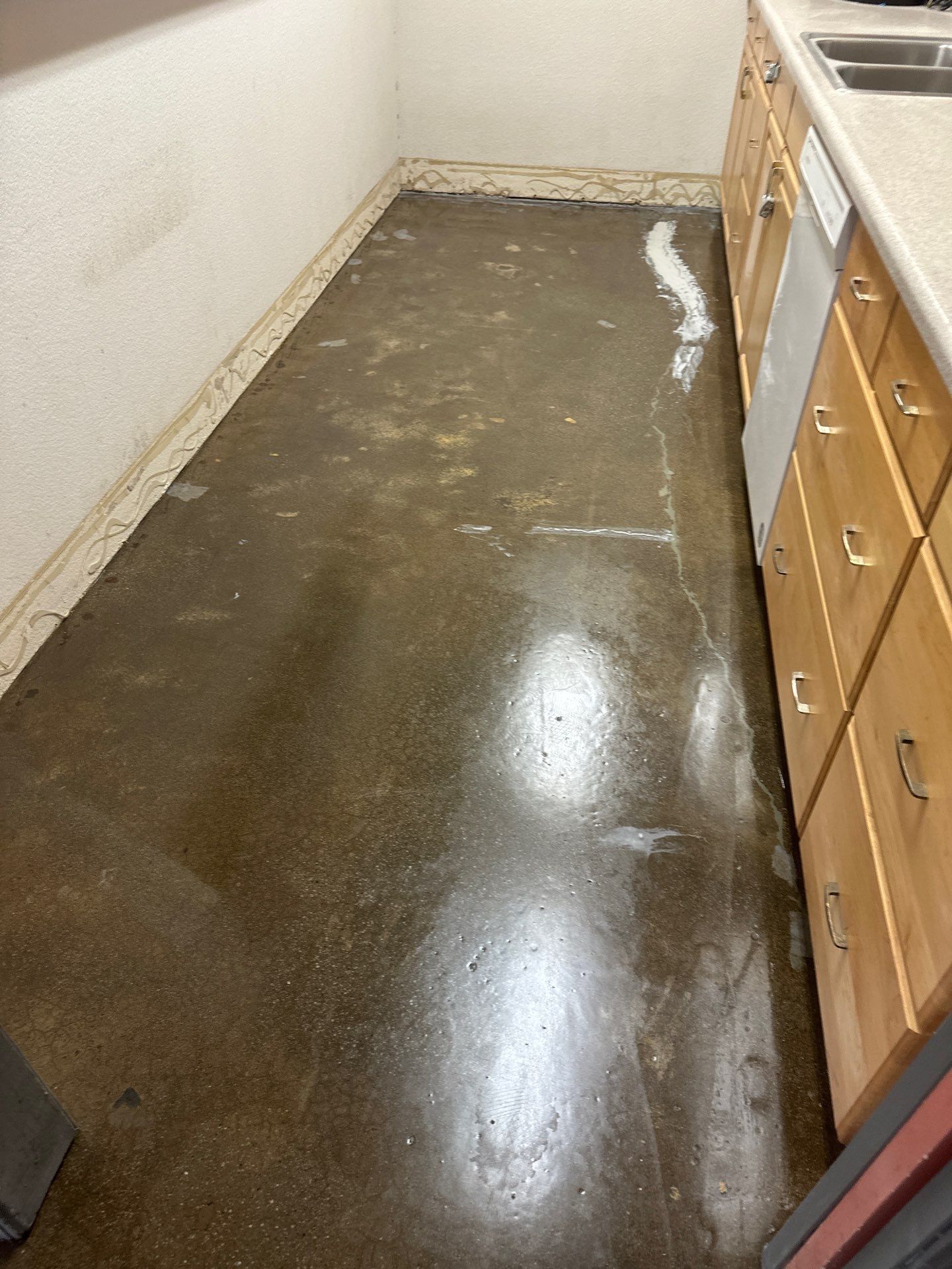 Custom Basalt Polyurea Interior Floor Coating Transformation in Atascadero by MGP Coatings