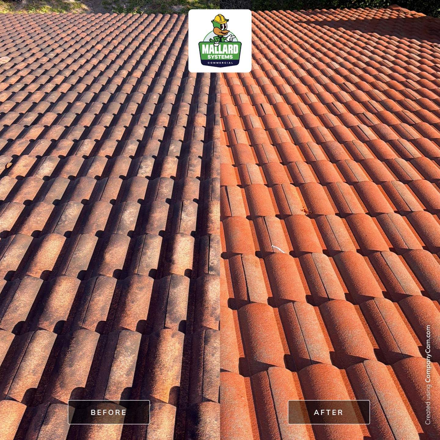 Residential Roof Cleaning in Dr. Phillips by Mallard Systems