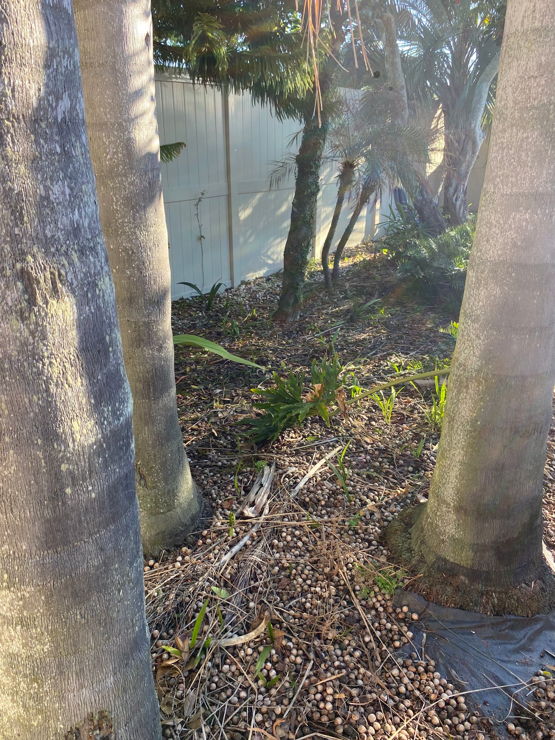 Residential | Mulch and Rock Install by ProGreen Services