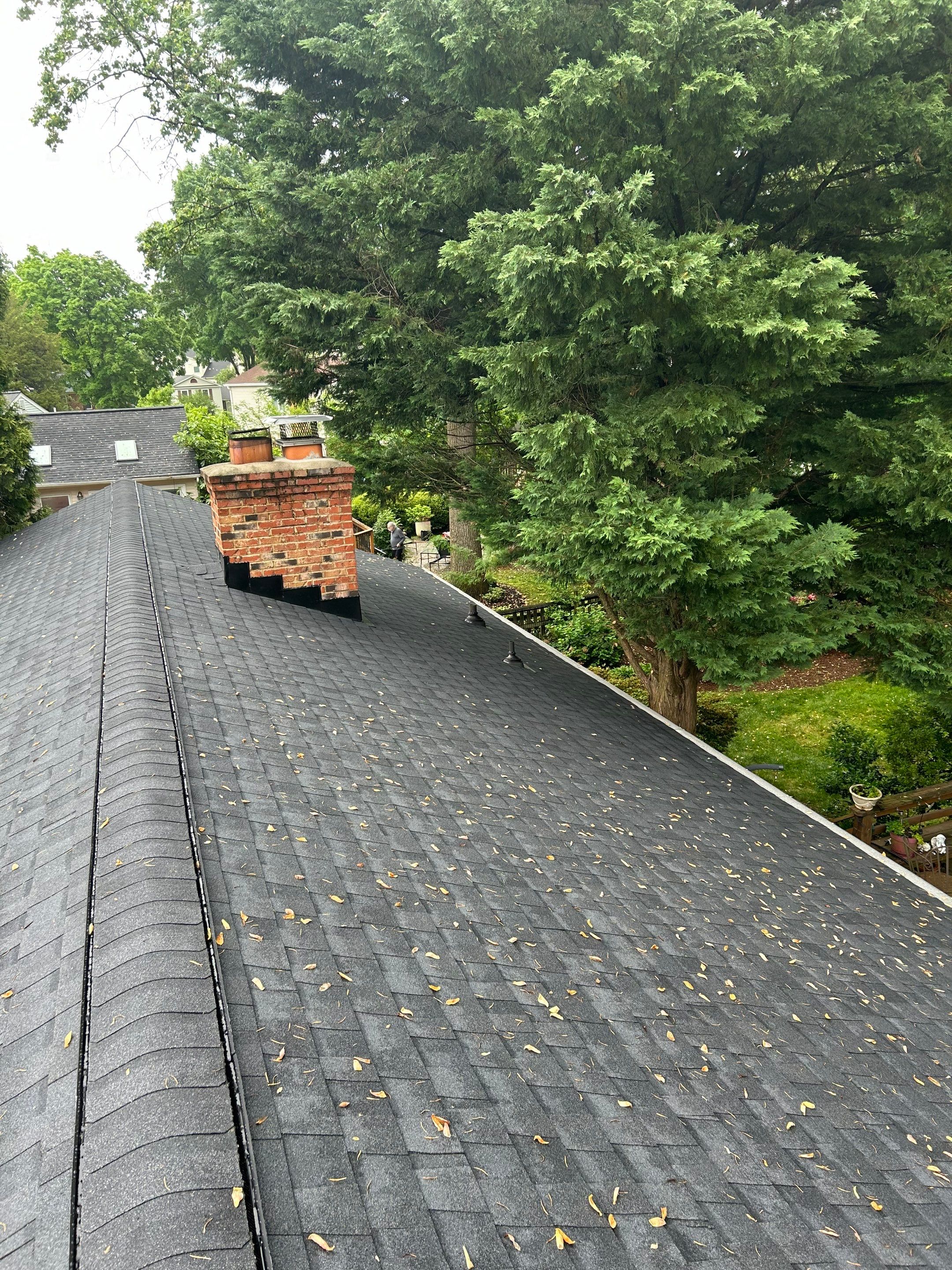 Burke: CertainTeed Landmark Designer Shingles in Moire Black by RM Banning, Inc.