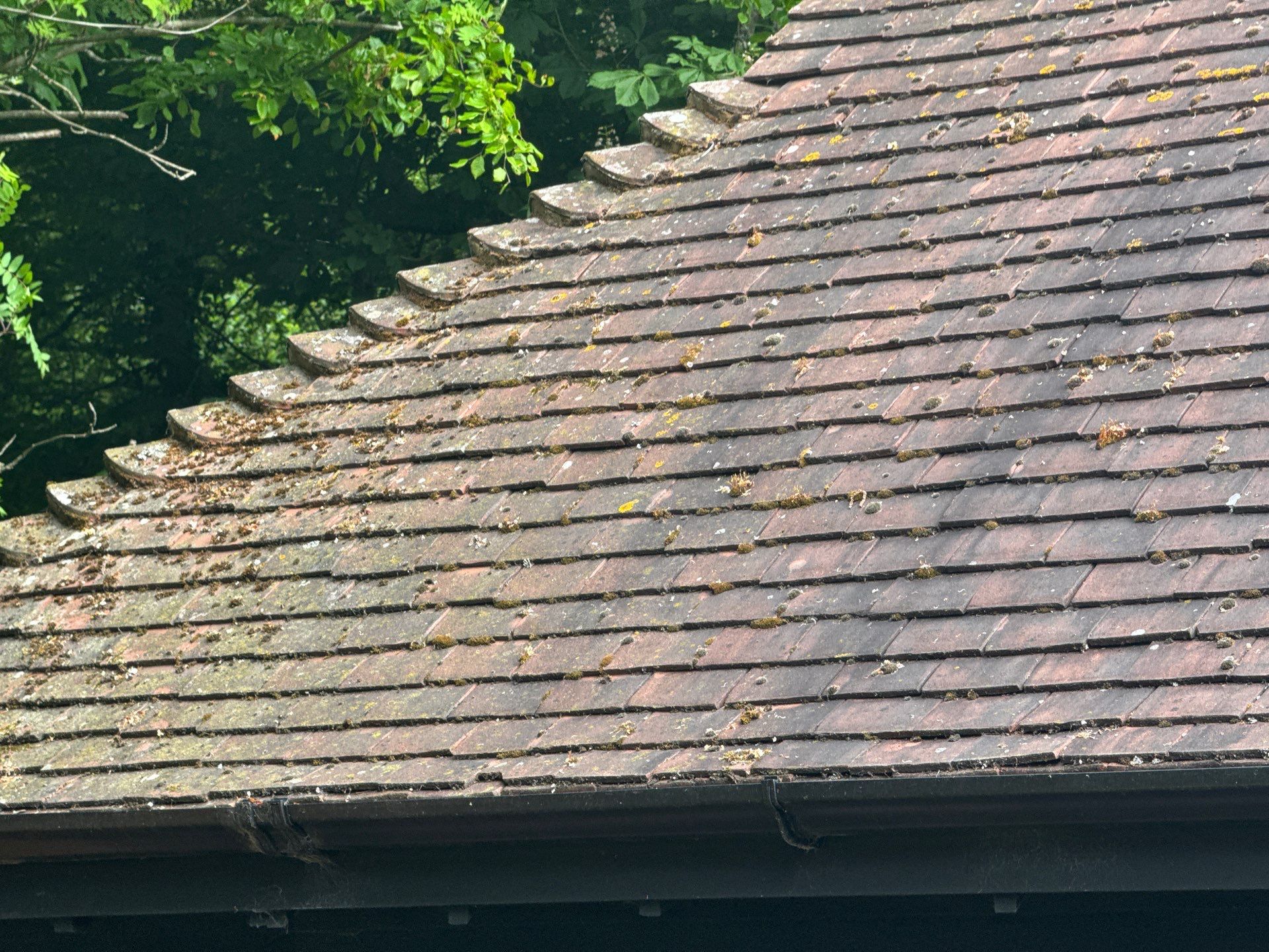 Roof Clean - Patio Clean using 18inch Whirlaway FSC by Ges Exterior Cleaning ltd