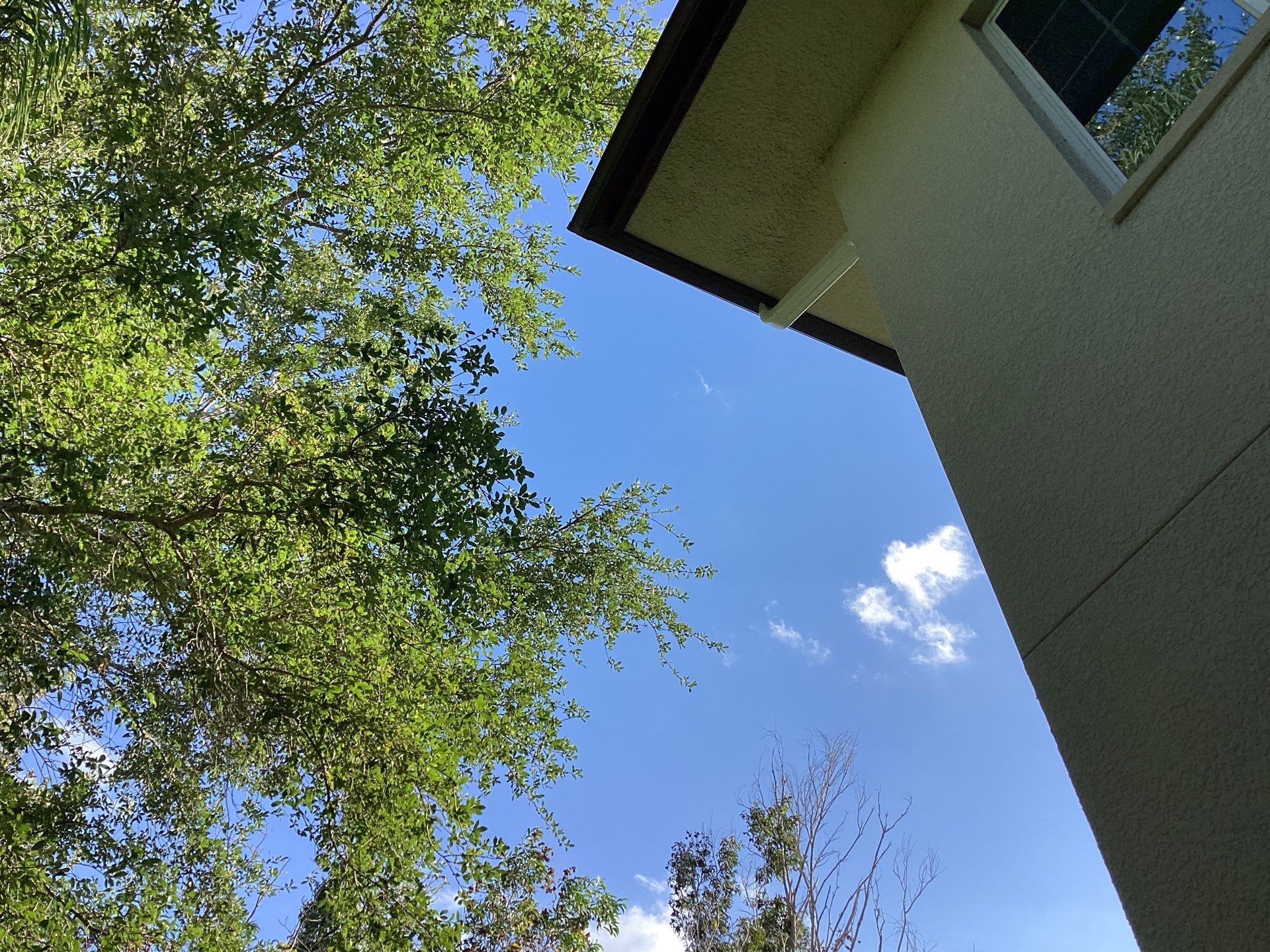 Musket Brown Seamless Gutters using Musket Brown Seamless Gutters in Capen Coral FL by Gutter Professors