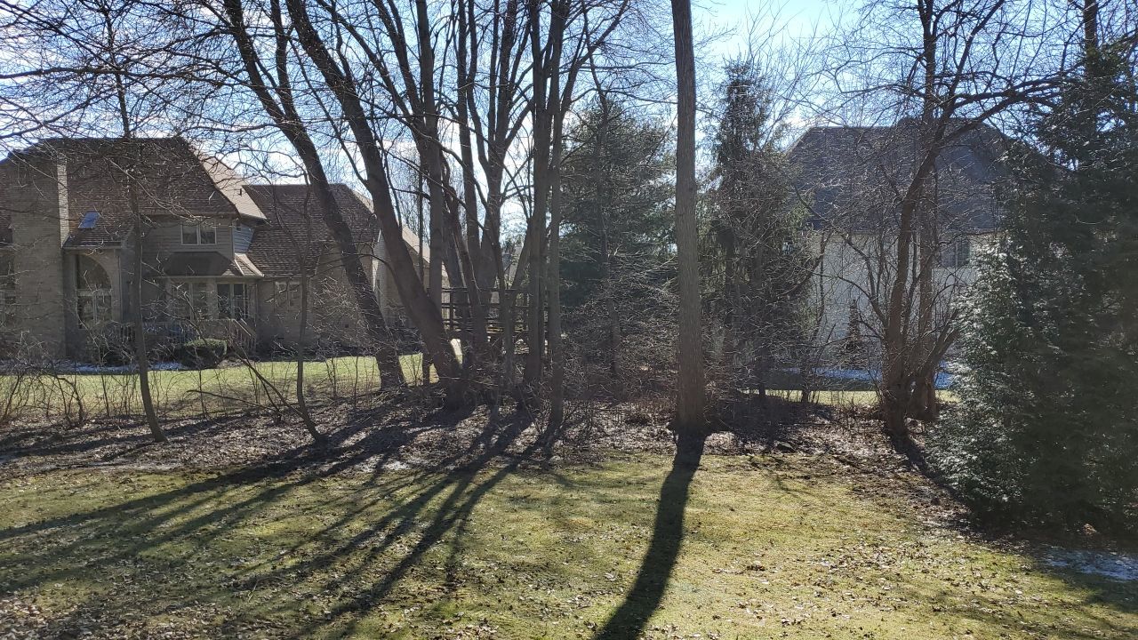 Tree Removal using Tree Removal by Mike Jones & Sons Tree Service LLC 