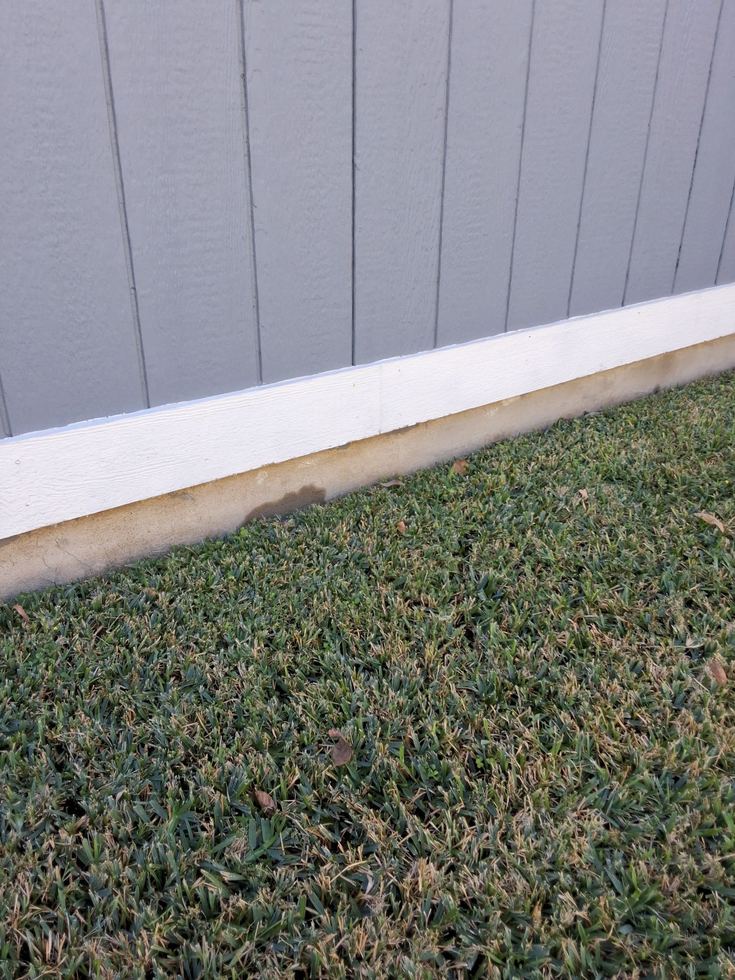 Siding Painting by TEXFIX LLC