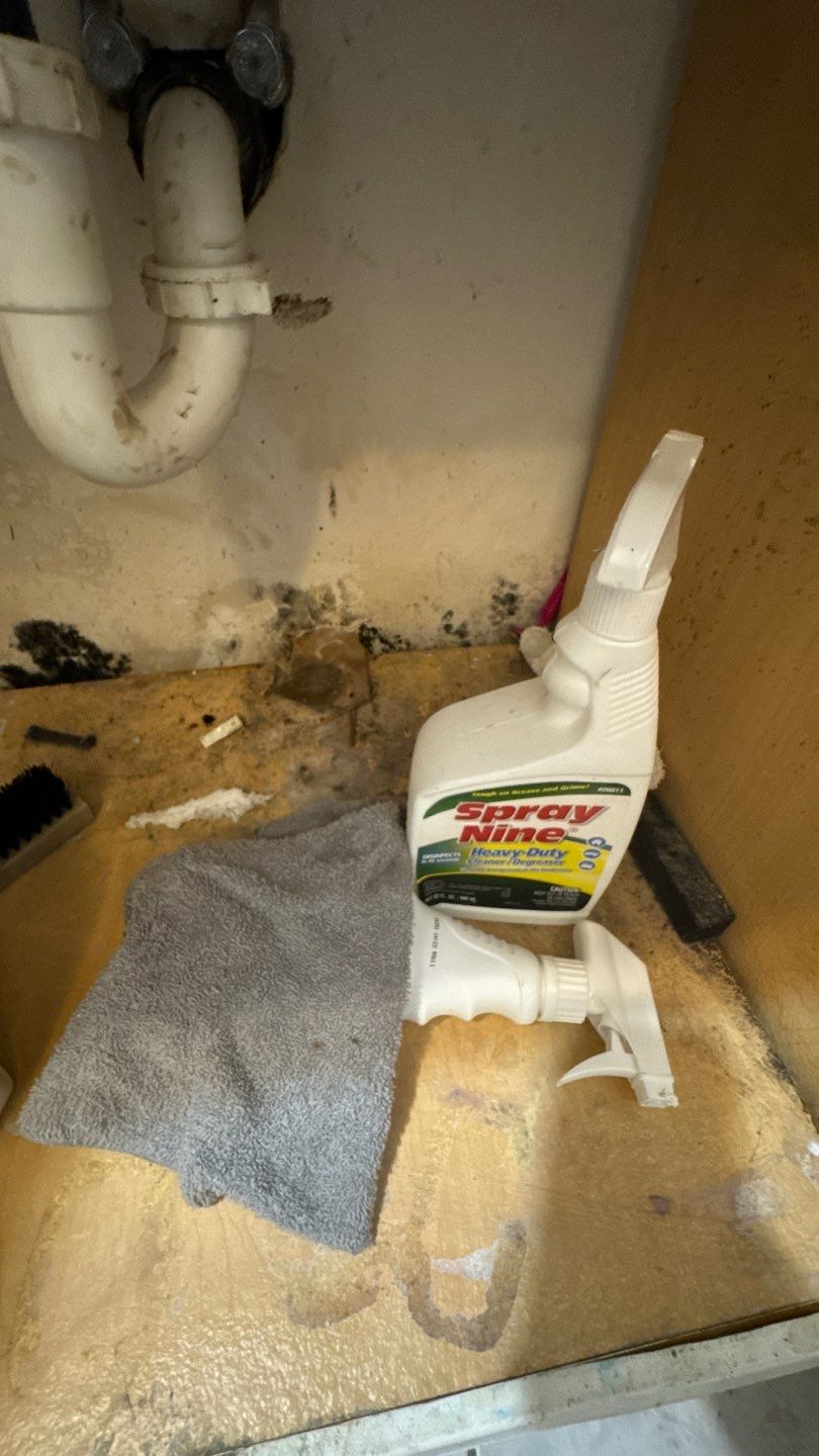 Mold Damage Project in Denver by Accountable Home Services