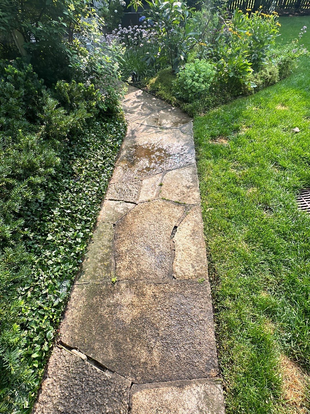 natural stone cleaning using Algaecide, soft wash soap by Northern Power Washing LLC.