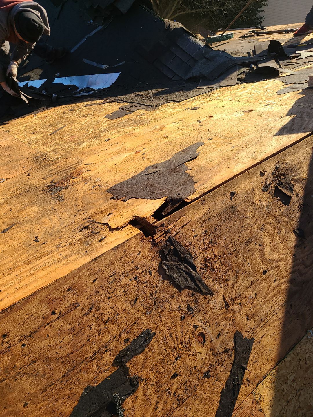 Alexandria CertainTeed Landmark Pro Roof in Max Def Pewterwood  by RM Banning, Inc.