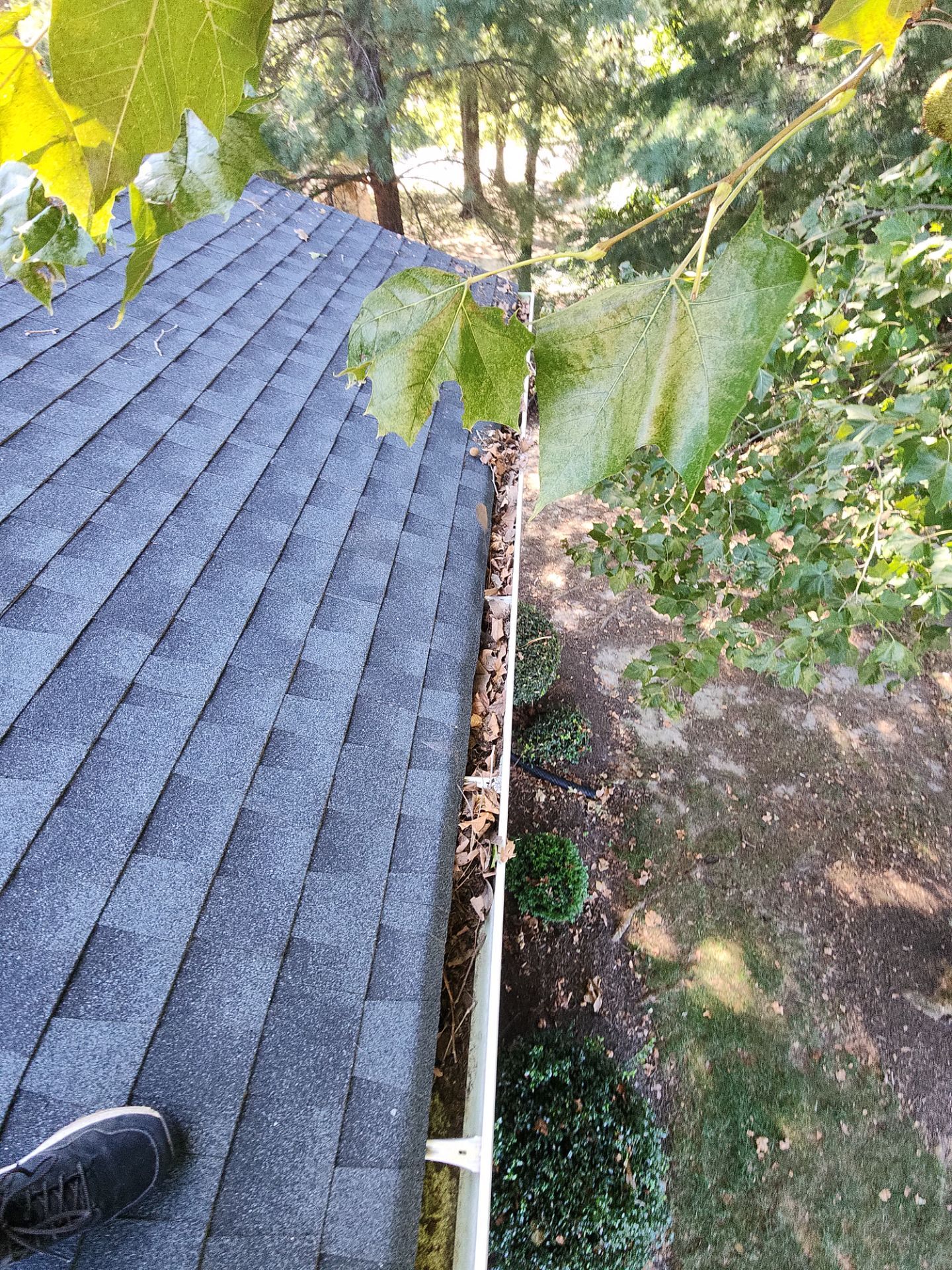Commercial gutter cleaning Georgia before photo with filled gutters