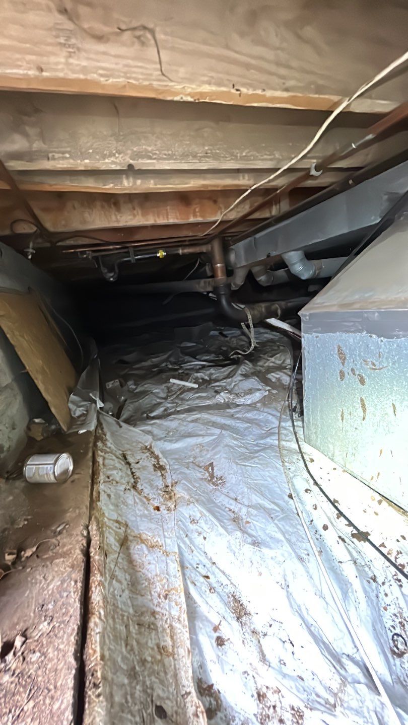 Sewage Backup by Accountable Home Services