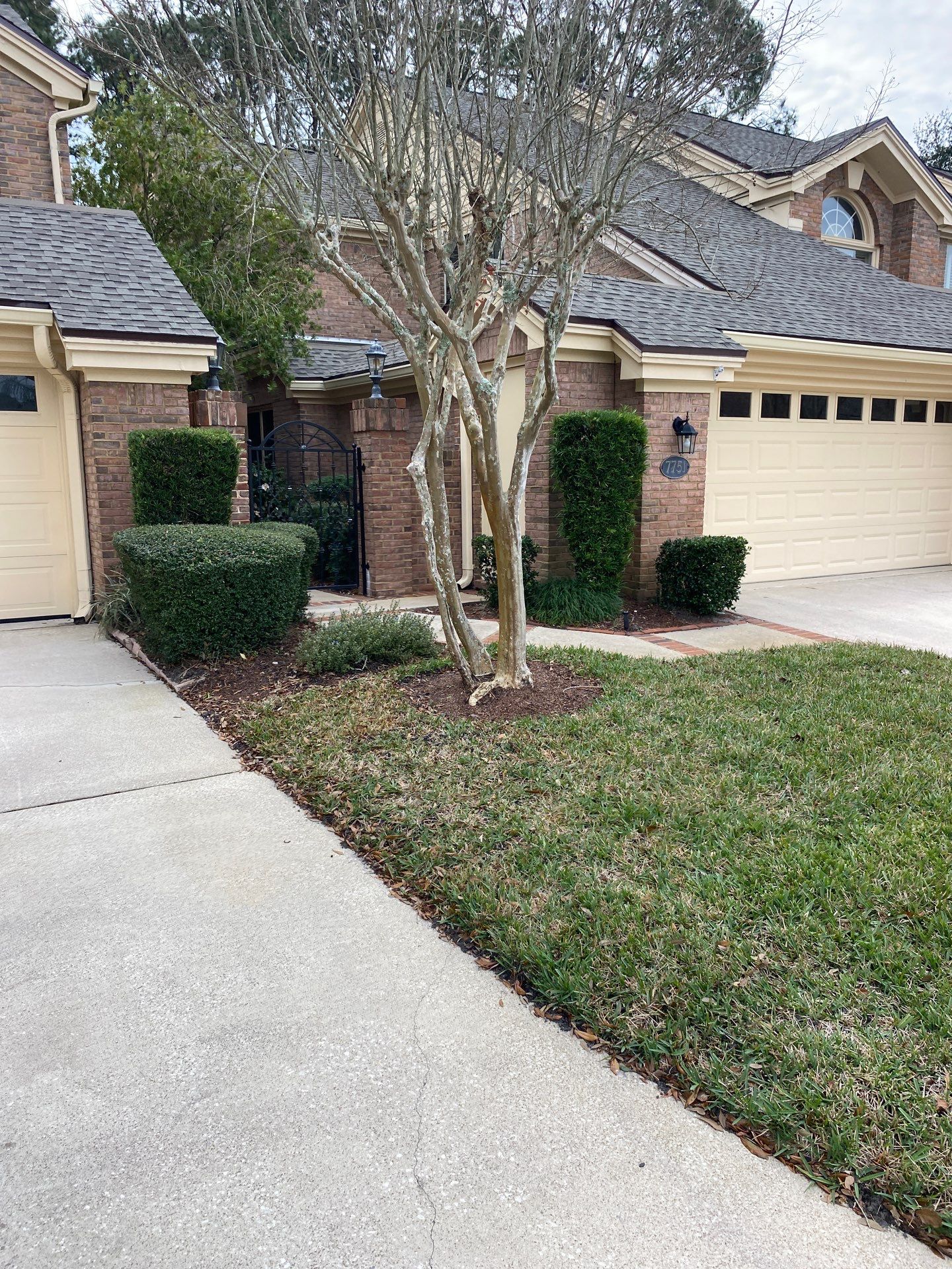 Deerwood Pointe | Tree Removal & Pine Straw Installation by ProGreen Services