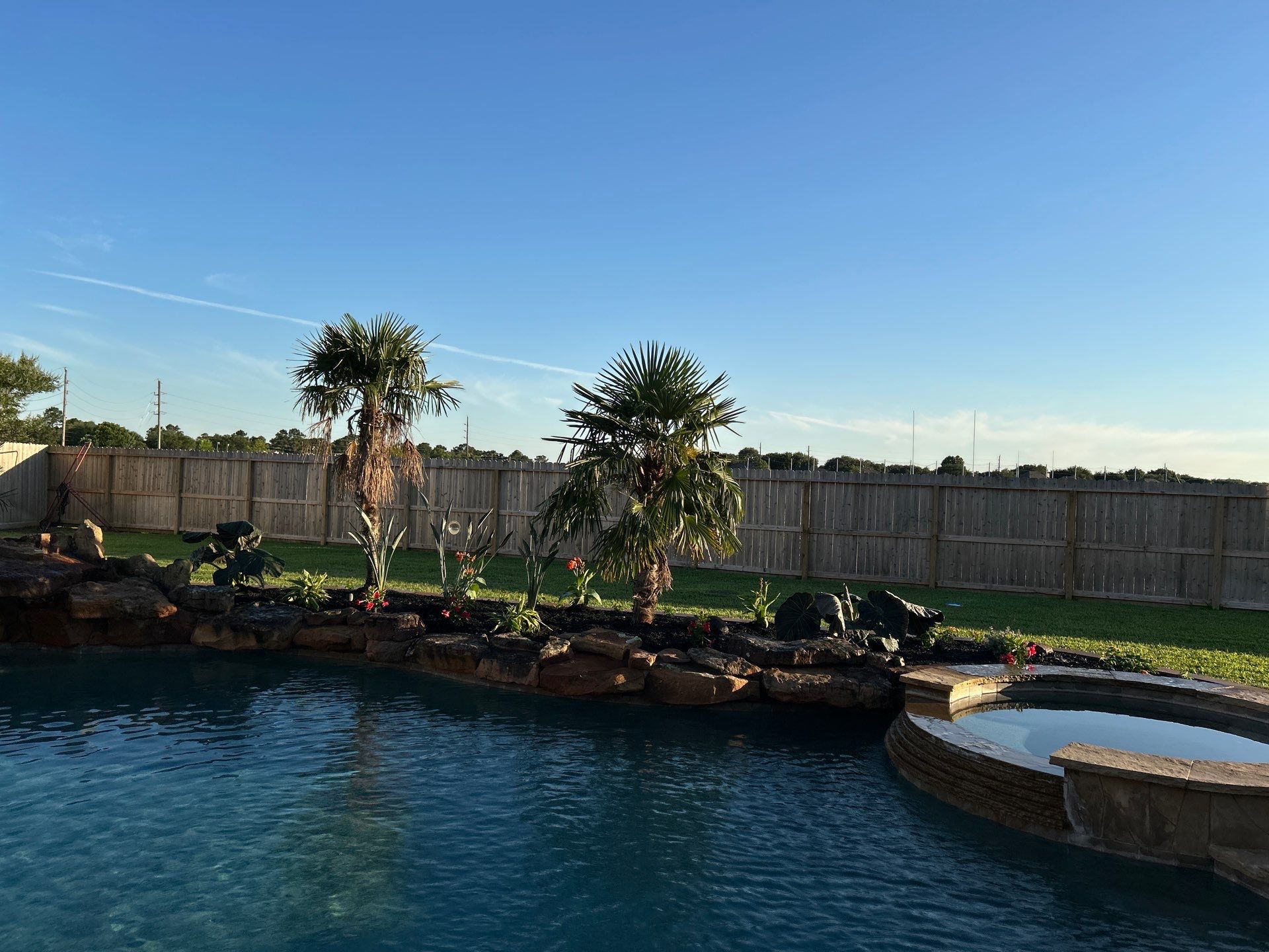 🌿 Larry Caudillo’s Poolside Landscape Revamp by Texas Urban Elements