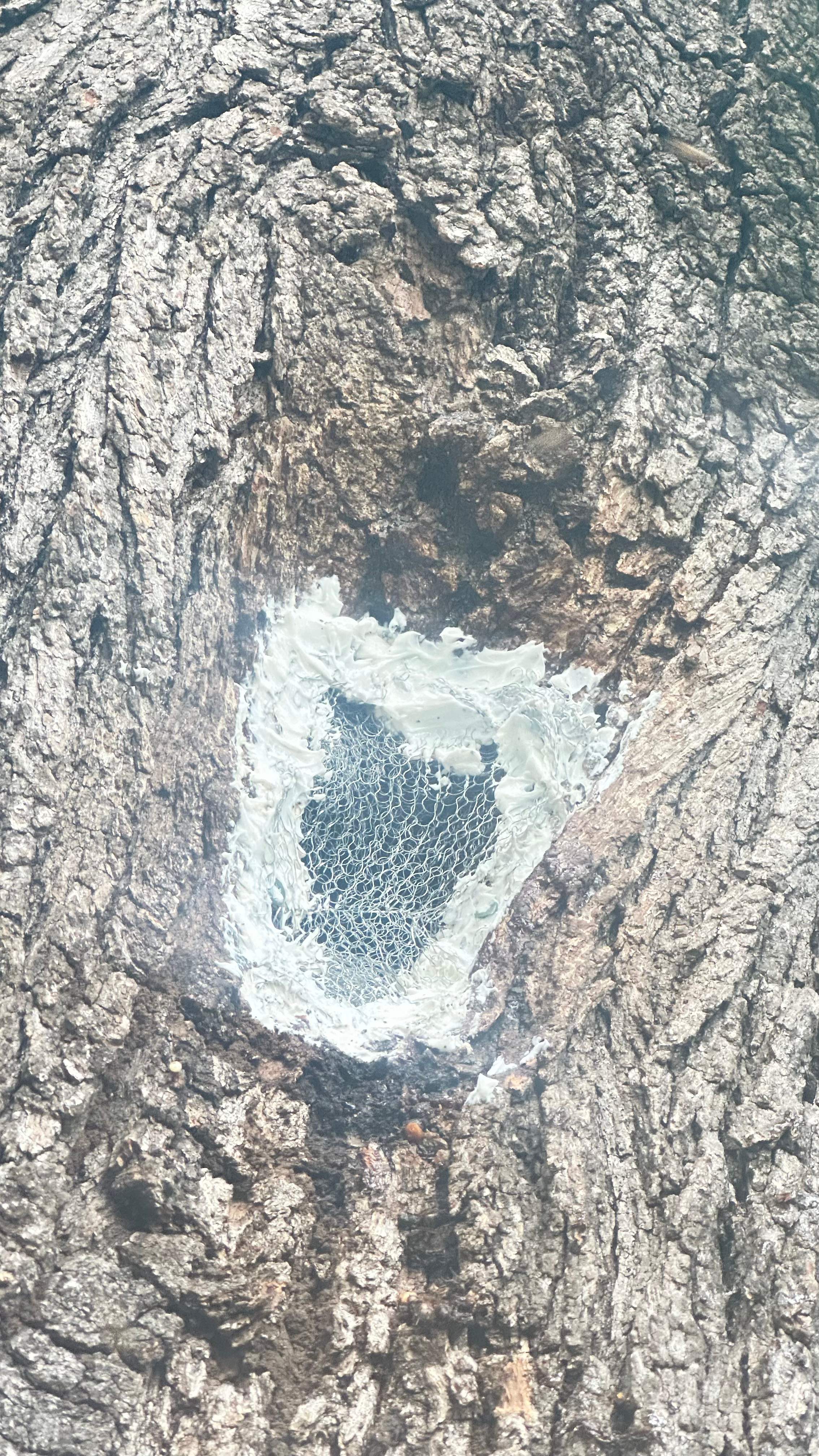 Tight Squeeze by Rockwall Honey Bee Company